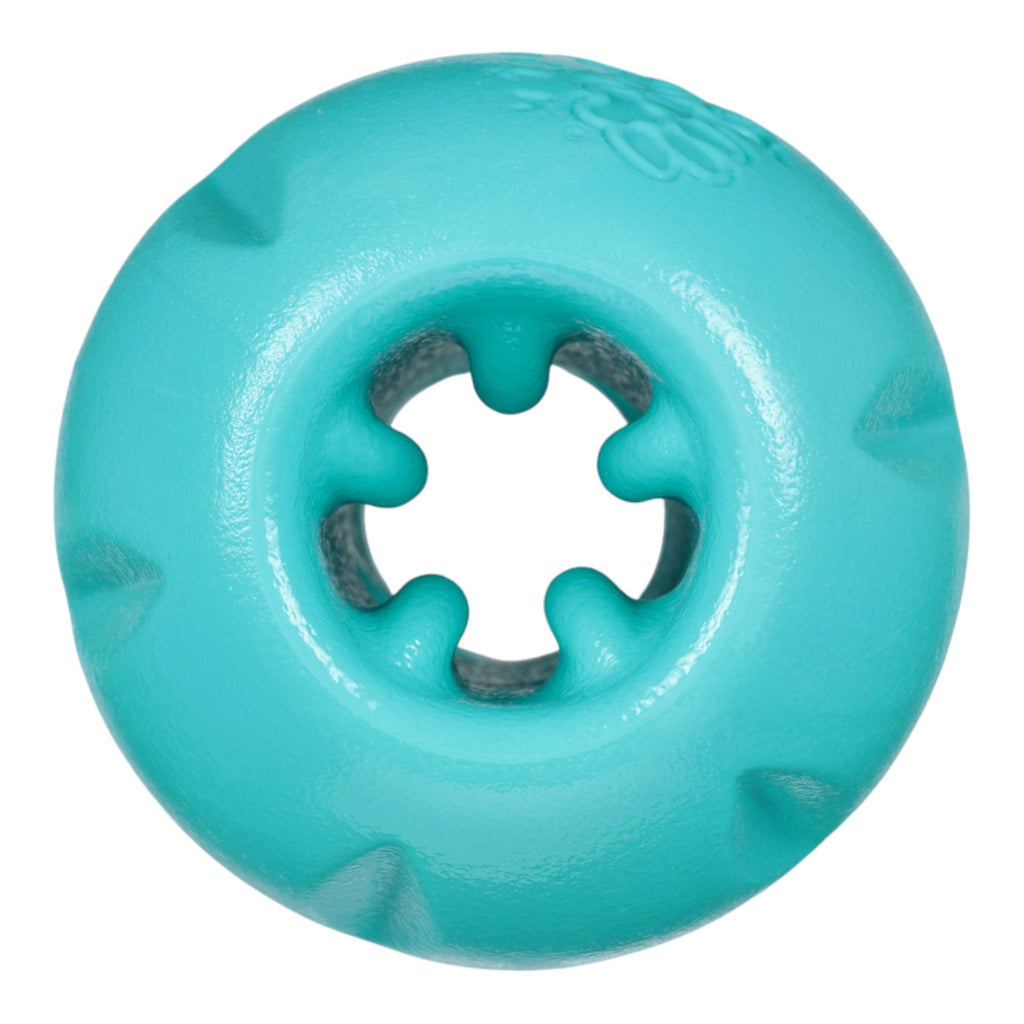 Qwizl Teal by West Paw