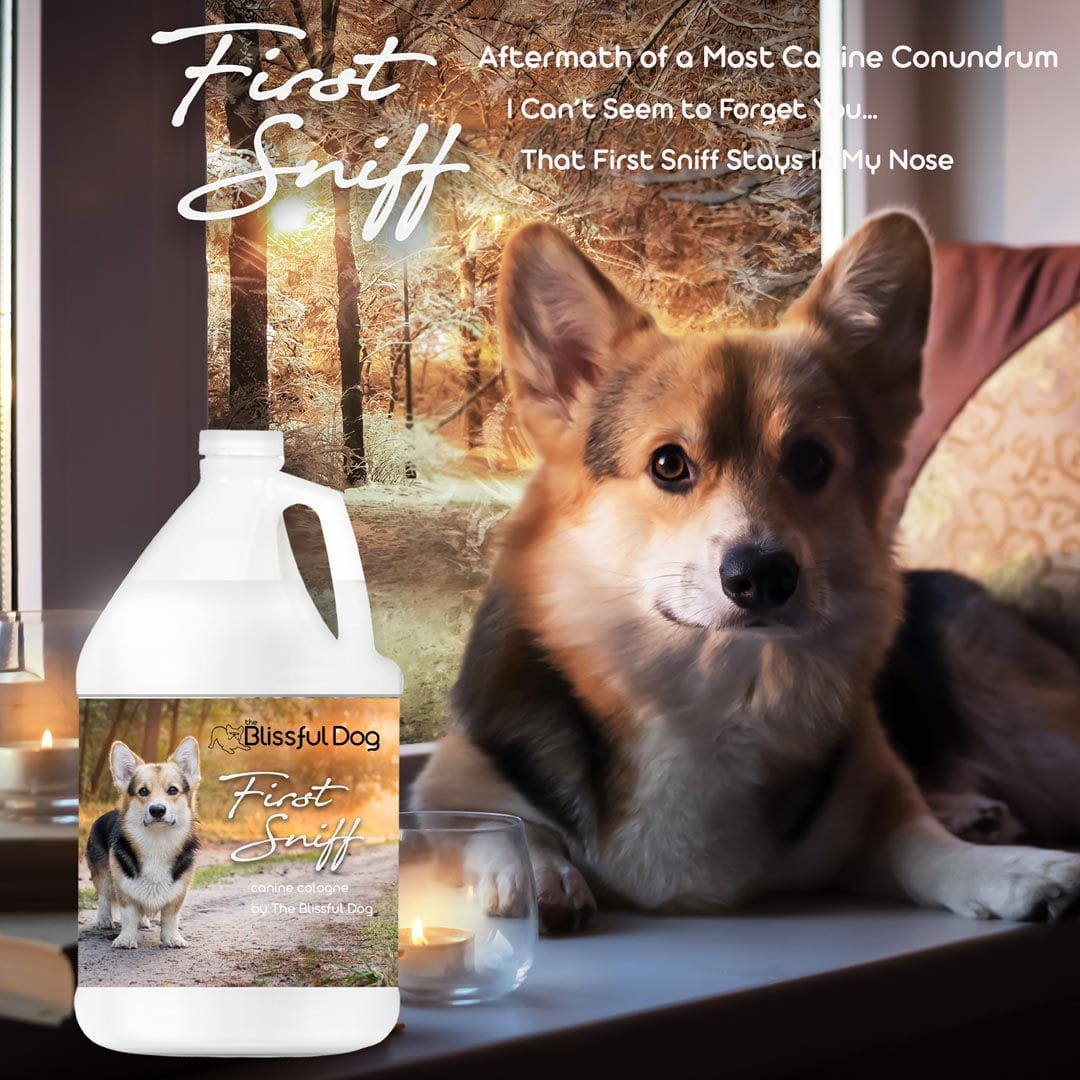 First Sniff Dog Cologne - Your First Sniff Stays on My Mind by The Blissful Dog
