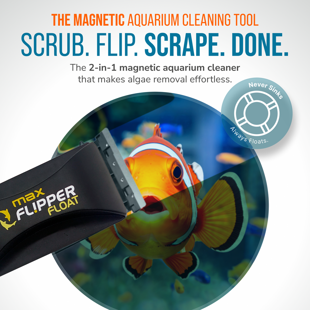 Flipper MAX FLOAT 2 in 1 Magnetic Aquarium Algae Cleaner by Flipper Aquarium Products