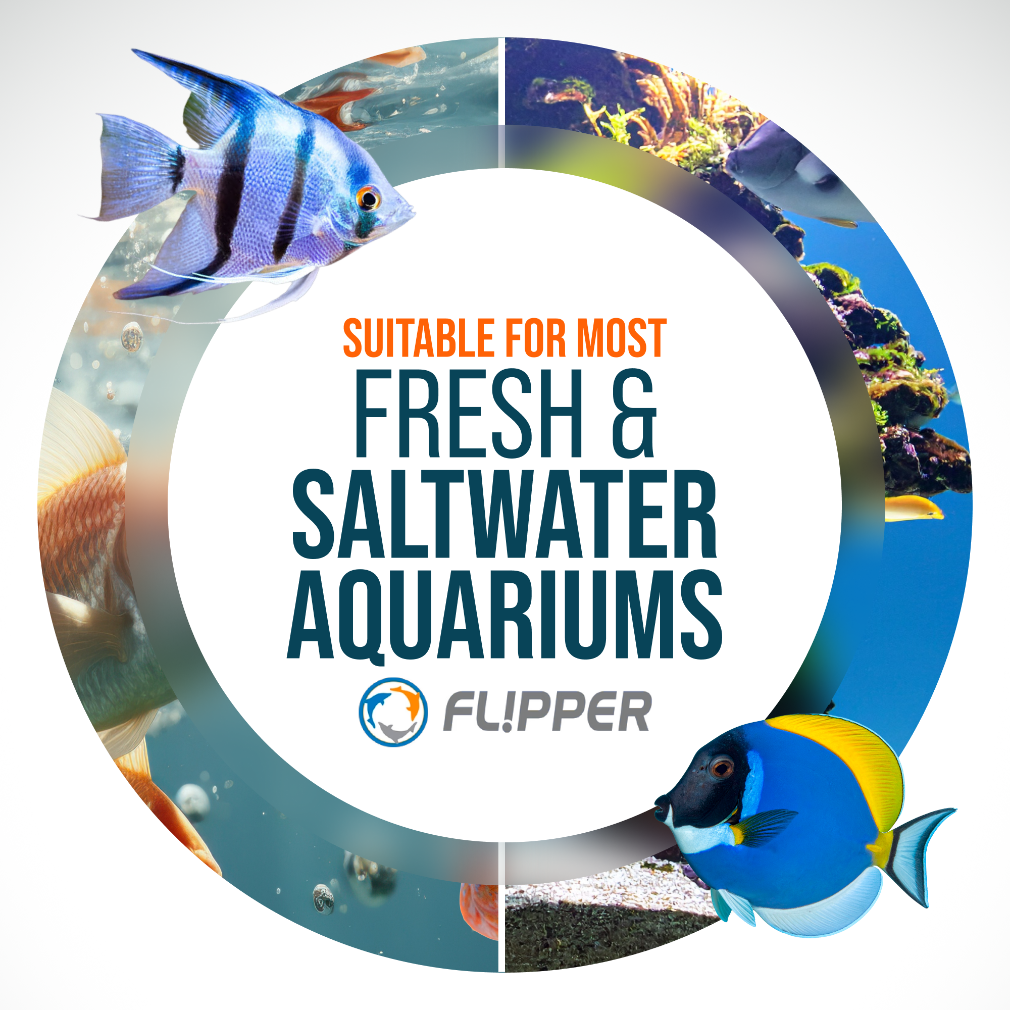 Flipper Platinum Aquarium Algae Scraper - 28" by Flipper Aquarium Products