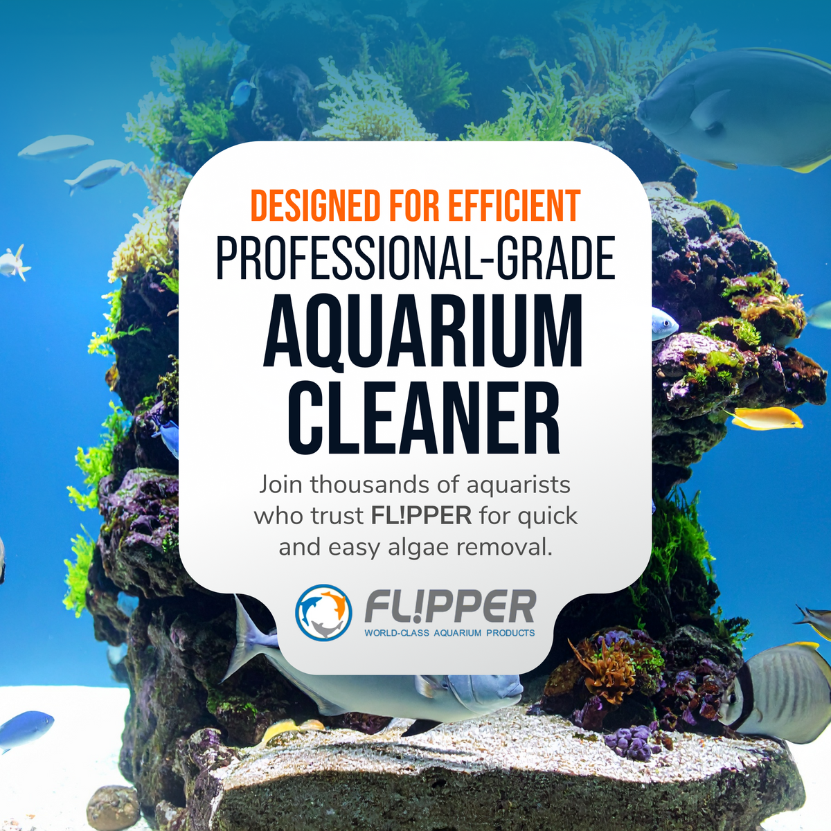 Flipper MAX ABS Replacement Blades Straight Edge 5 Pack - Acrylic Tanks by Flipper Aquarium Products