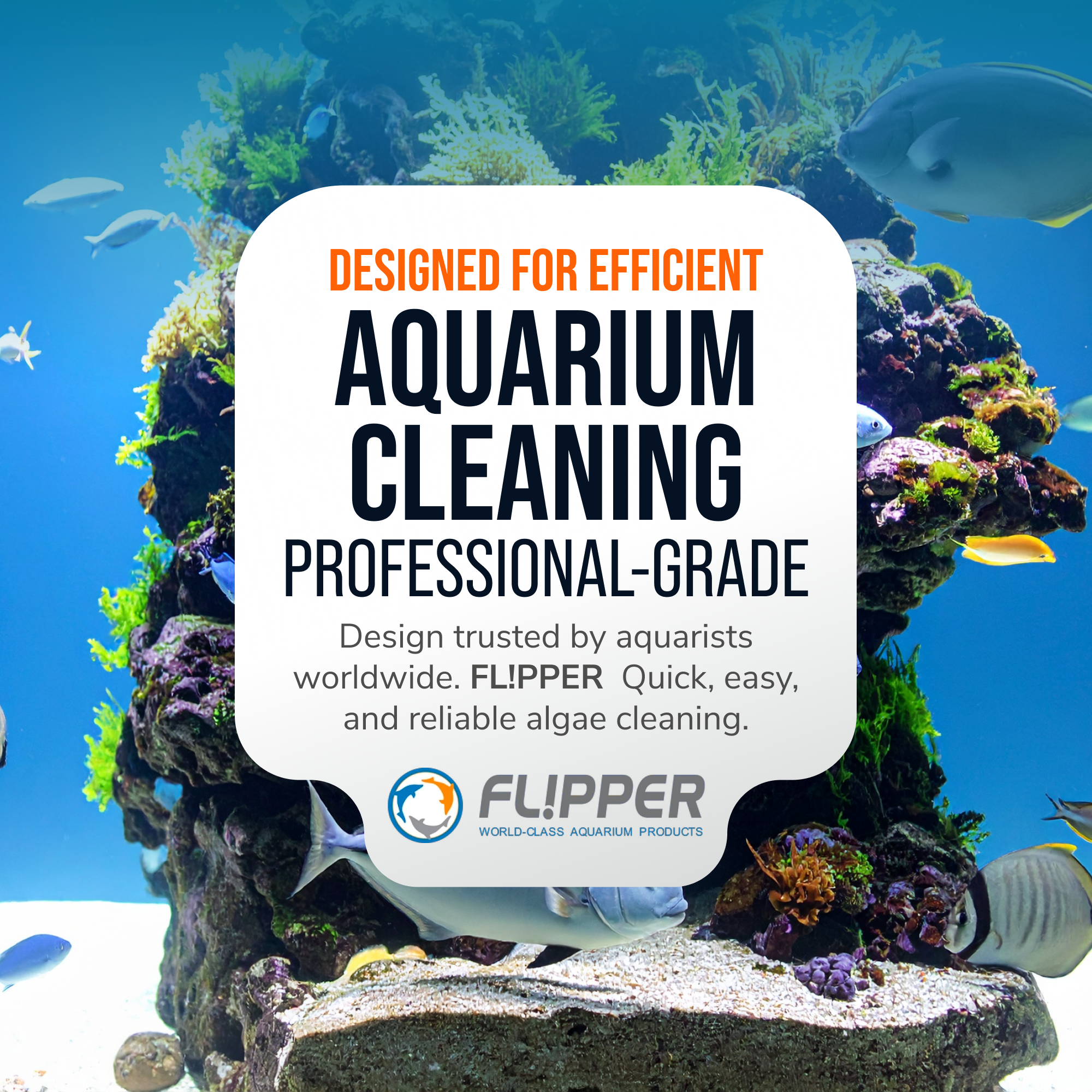 Flipper Pico Black 2-in-1 Aquarium Magnet Cleaner by Flipper Aquarium Products