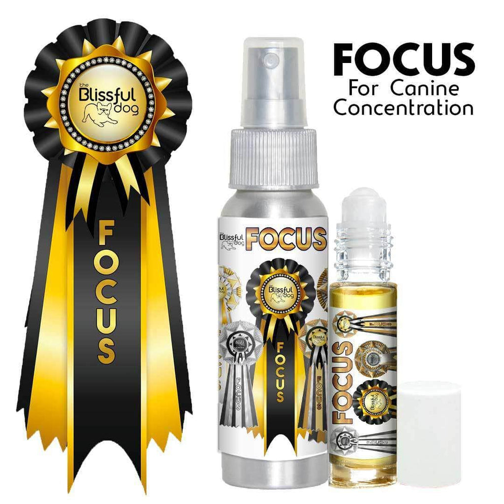 Focus Dog Aromatherapy by The Blissful Dog