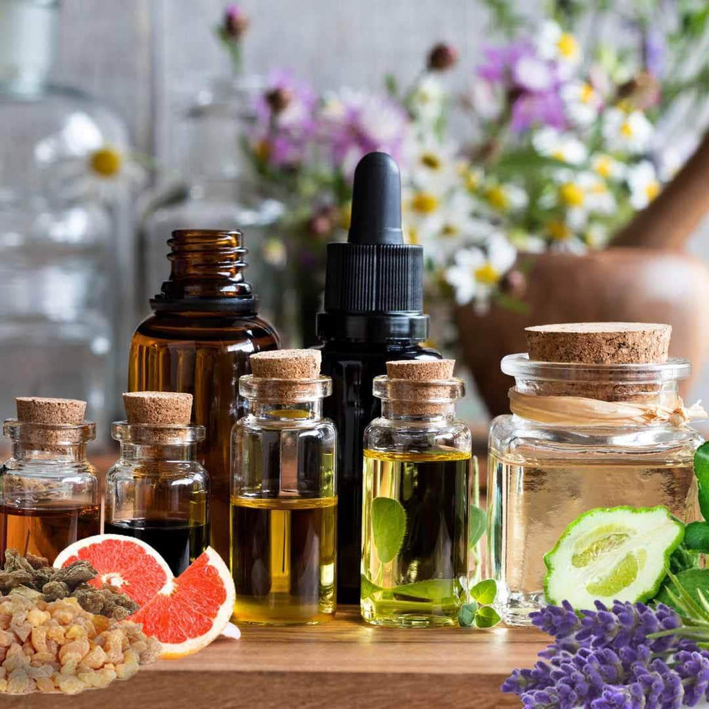 Focus Dog Aromatherapy by The Blissful Dog
