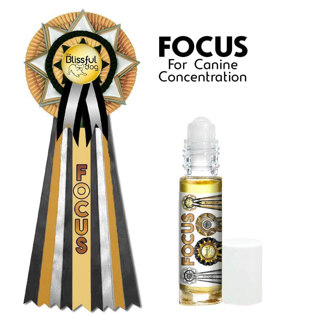 Focus Dog Aromatherapy by The Blissful Dog