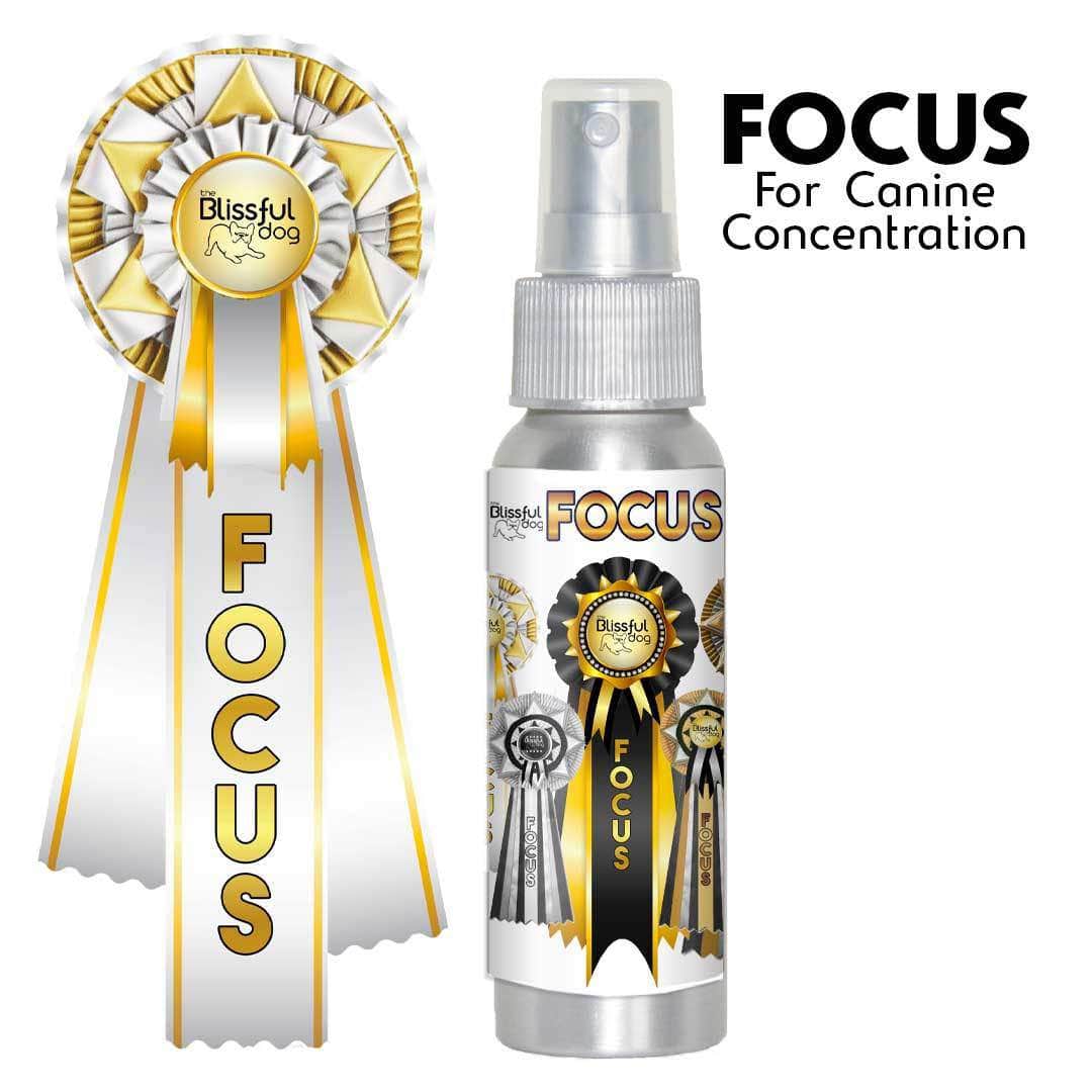 Focus Dog Aromatherapy by The Blissful Dog