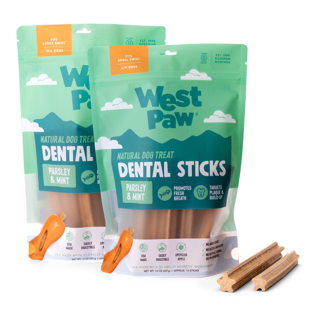 Natural Dental Sticks Large by West Paw