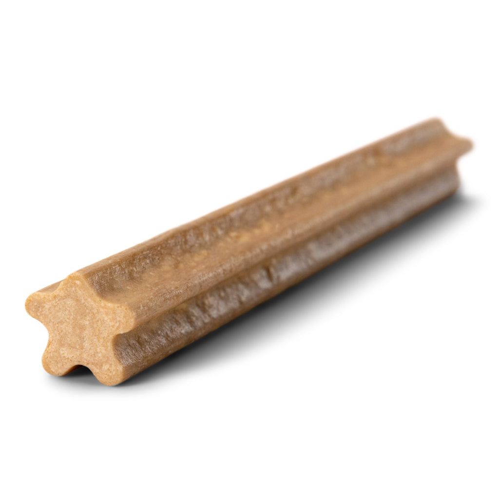 Natural Dental Sticks Large by West Paw