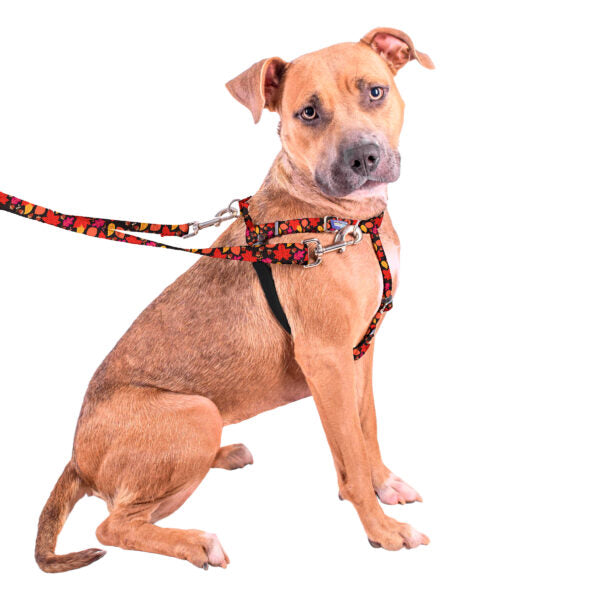 Falling Leaves Freedom No-Pull Dog Harness – EarthStyle by 2 Hounds Design