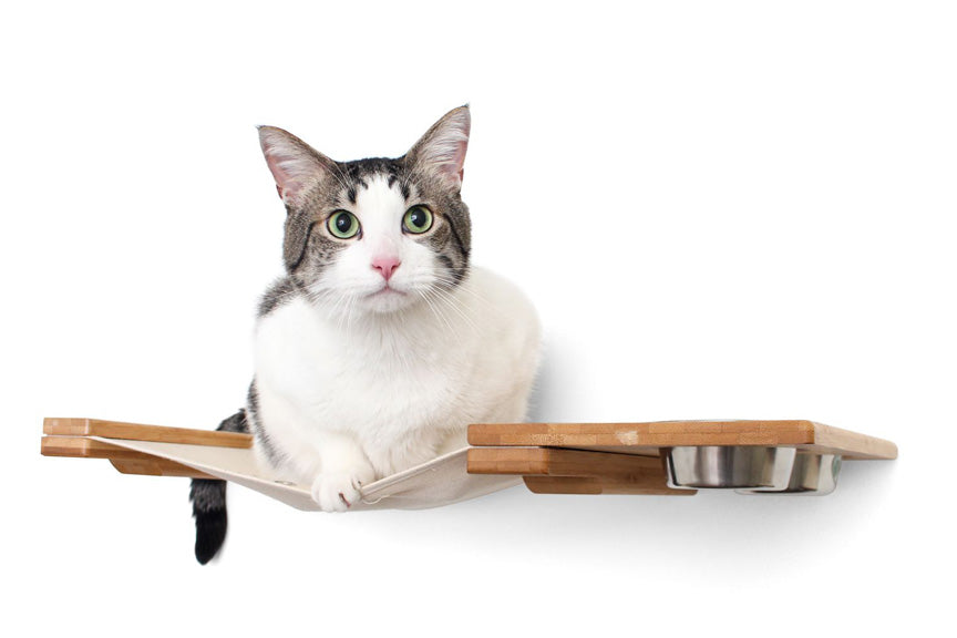 Dog Proof Cat Feeder - Wall-Mounted - Raised