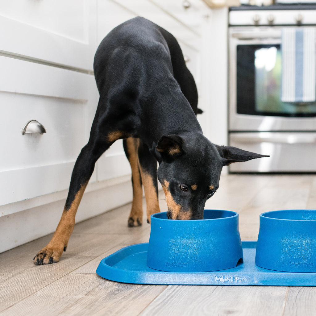 Non-Slip Placemat by West Paw