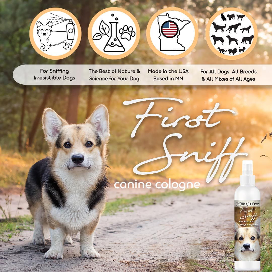 First Sniff Dog Cologne - Your First Sniff Stays on My Mind by The Blissful Dog