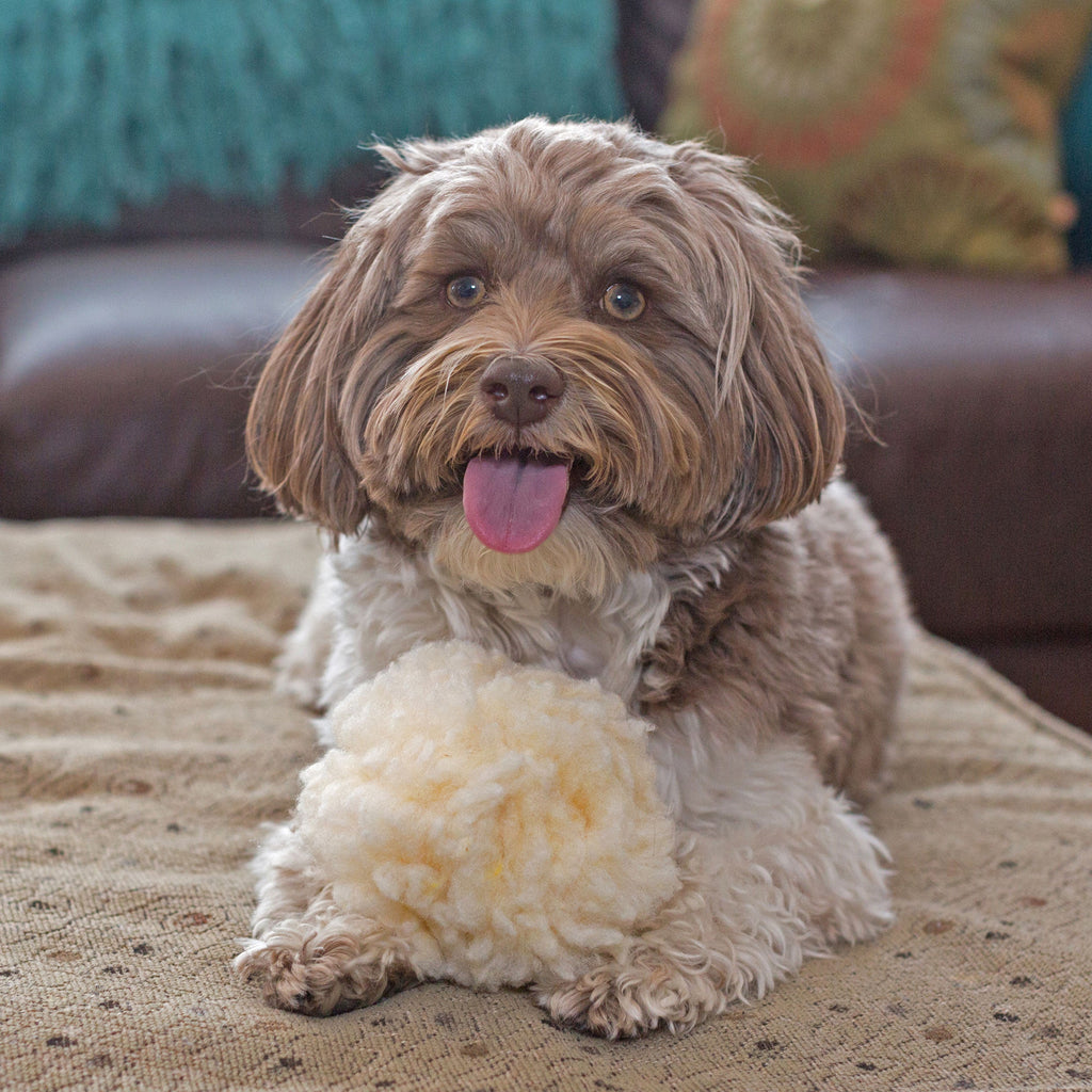 HuggleFleece® Plush Ball Dog Toy by HuggleHounds