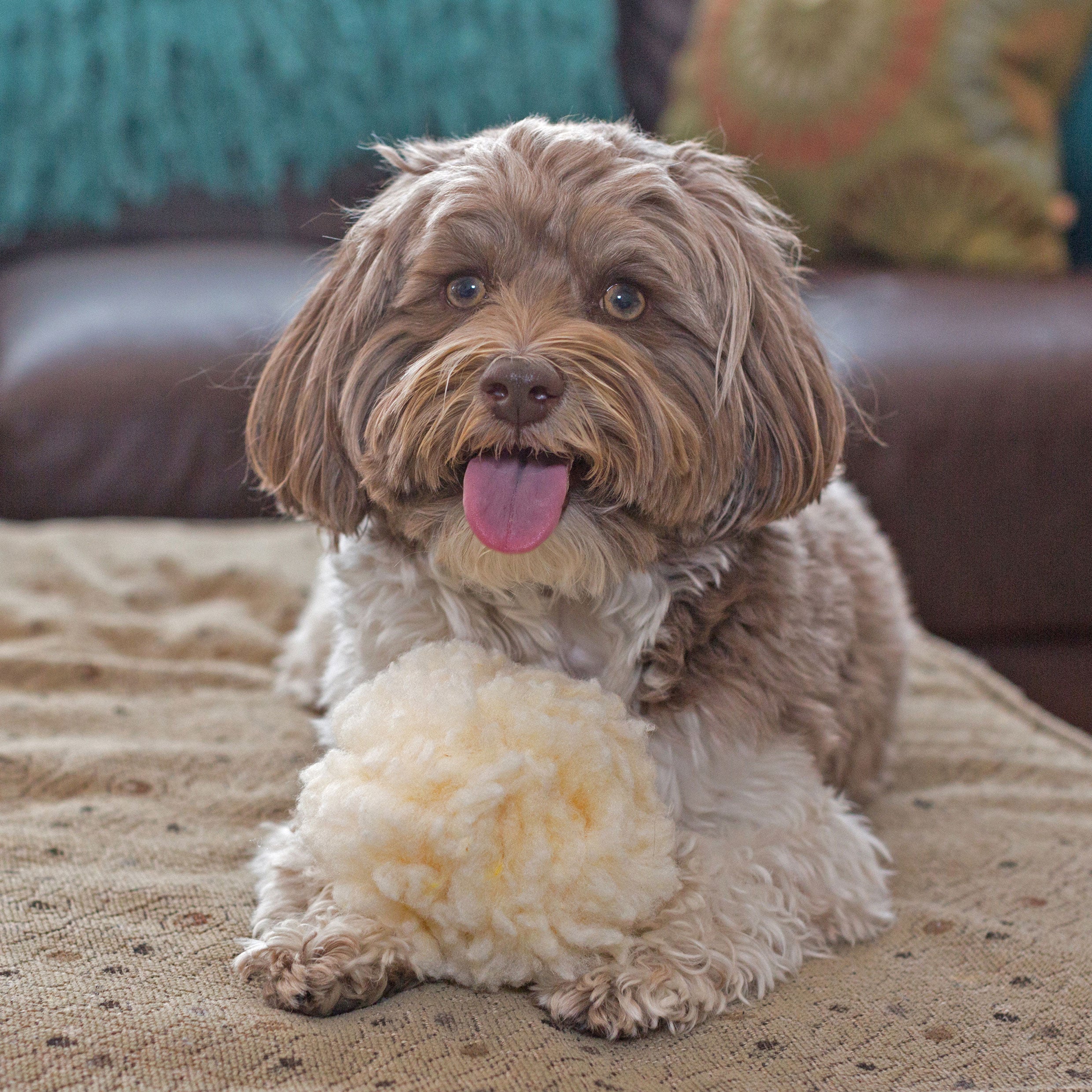 HuggleFleece® Plush Ball Dog Toy by HuggleHounds
