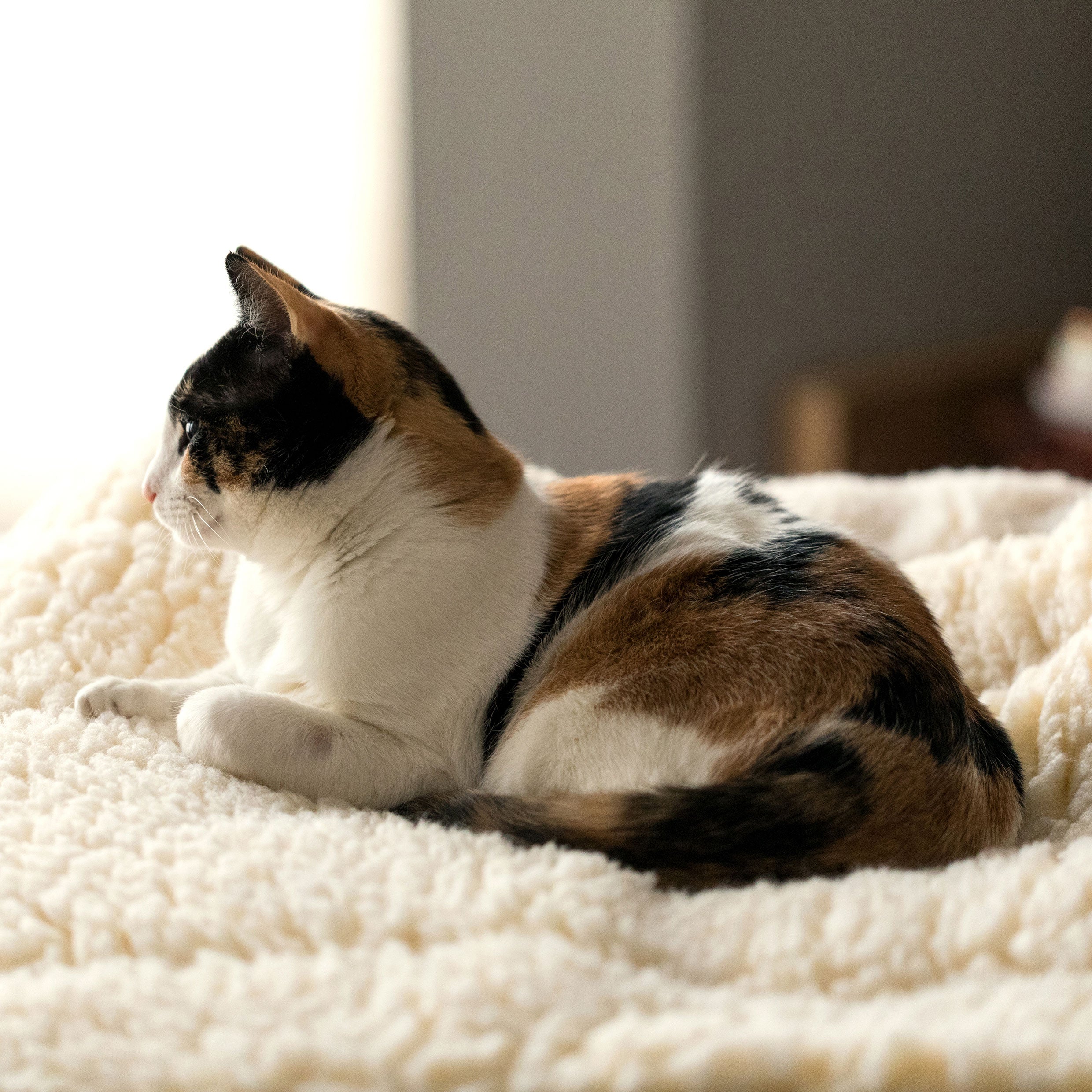 HuggleFleece® Mat Cat & Dog Bed by HuggleHounds