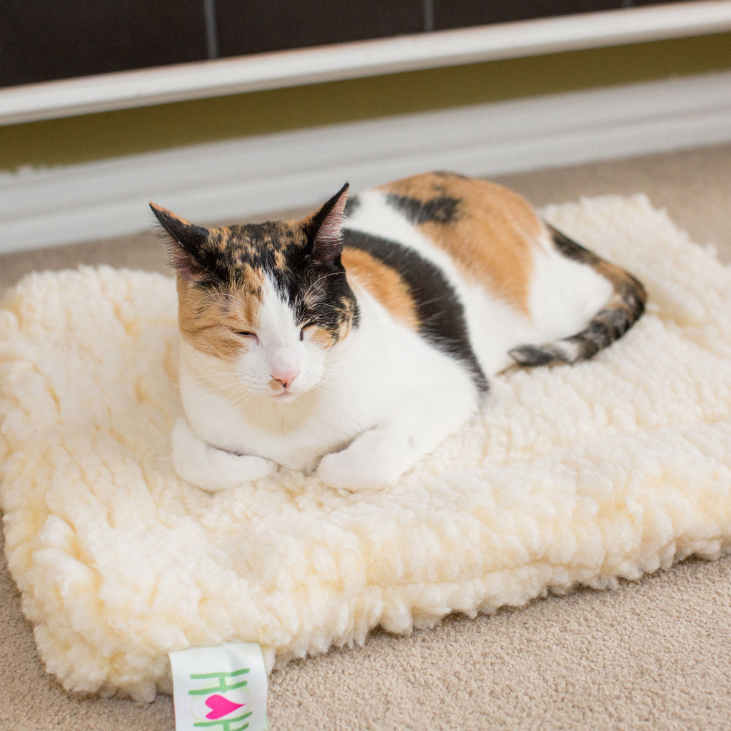 HuggleFleece® Mat Cat & Dog Bed by HuggleHounds