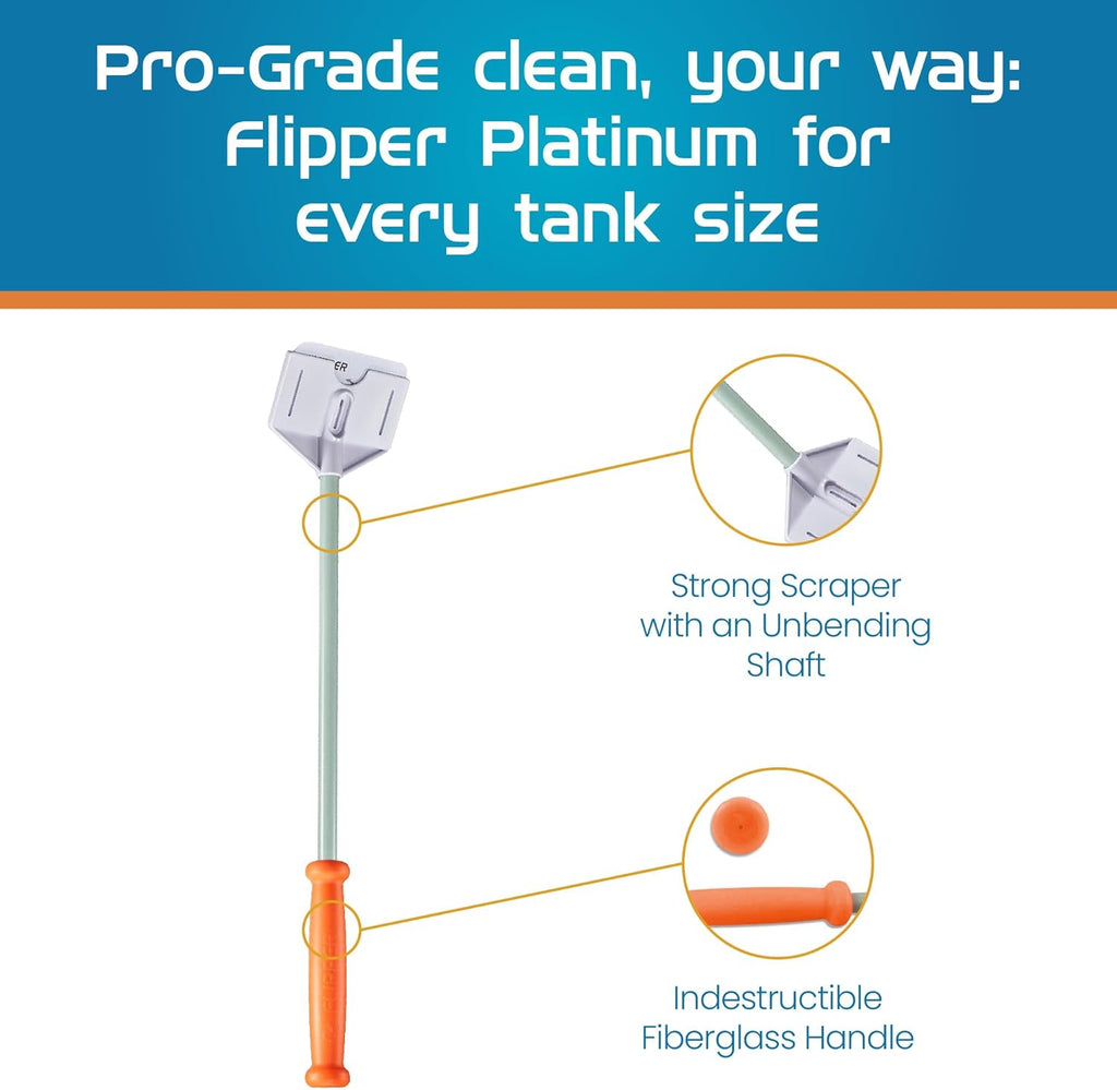 Flipper x Cichlid Bros Bundle