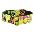Florence – Exclusive Dog Collar by 2 Hounds Design
