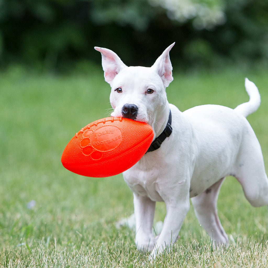 Jolly Football by Jolly Pets