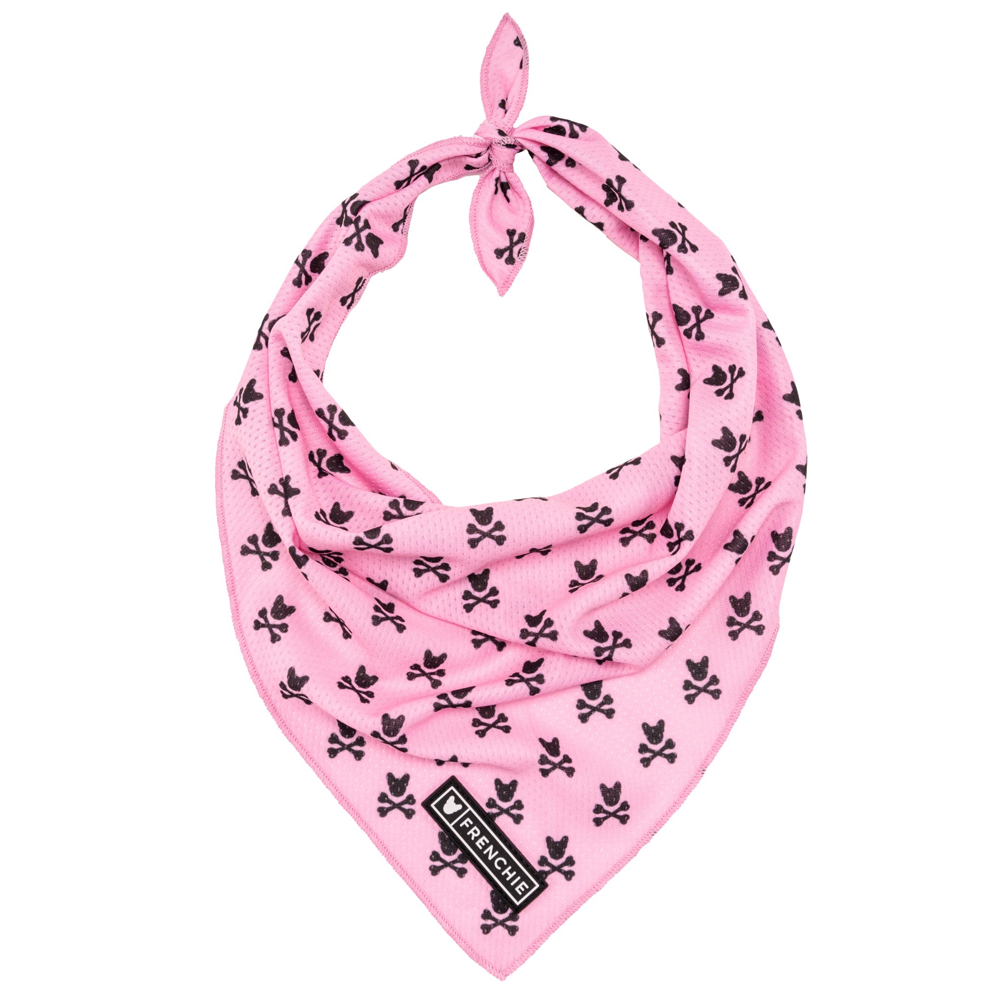 Frenchie Cooling Bandana - Pink Bad to the Bone by Frenchie Bulldog
