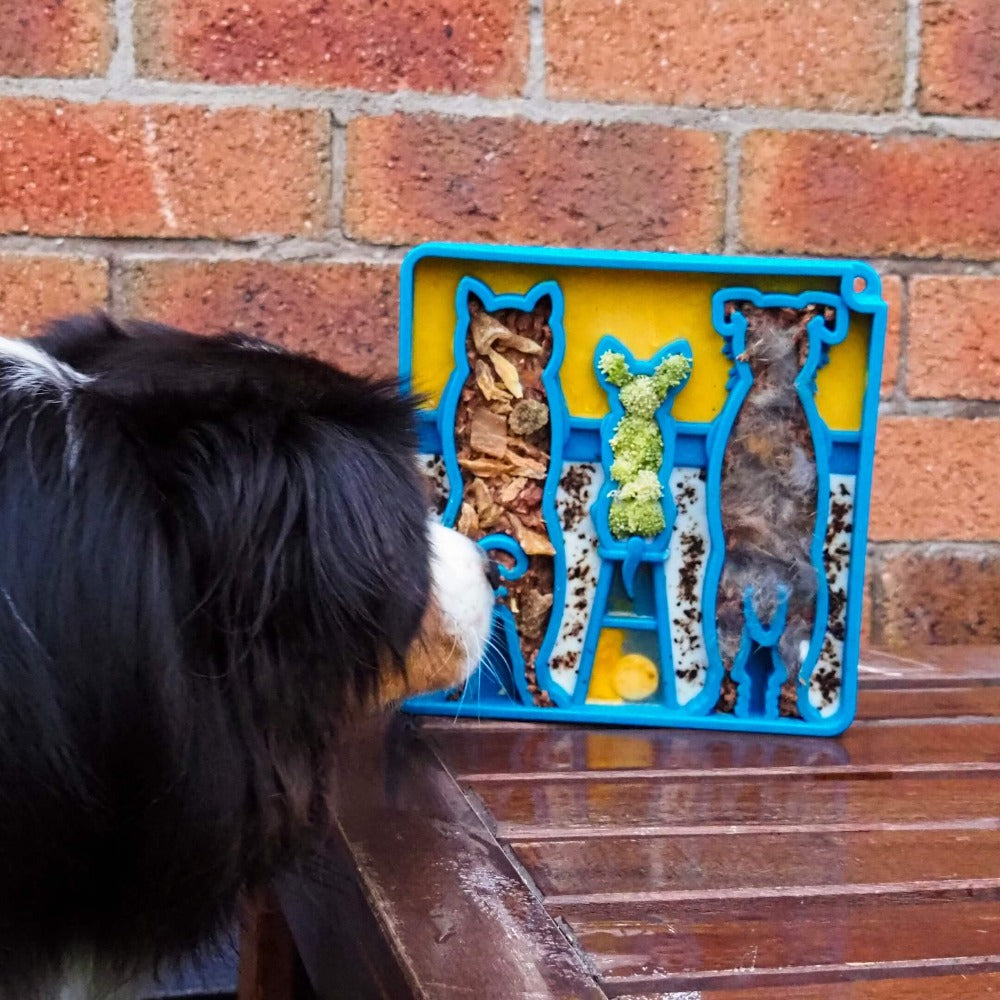 Waiting Dogs eTray - Shallow Slow Feeder Bowl for Enrichment | USA Made by SodaPup/True Dogs, LLC