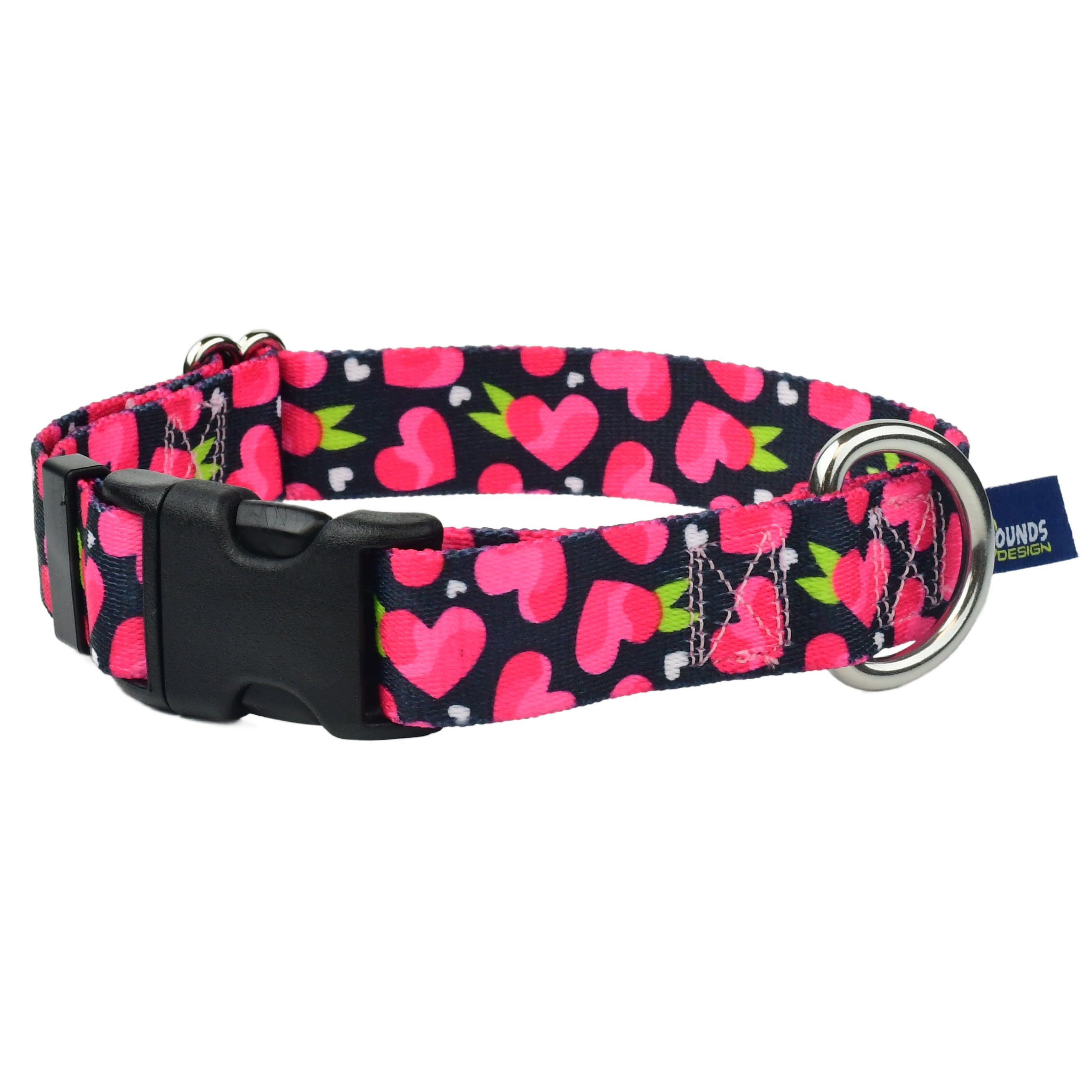 Fruity Hearts Buckle Martingale Dog Collar – EarthStyle (1" Only) by 2 Hounds Design