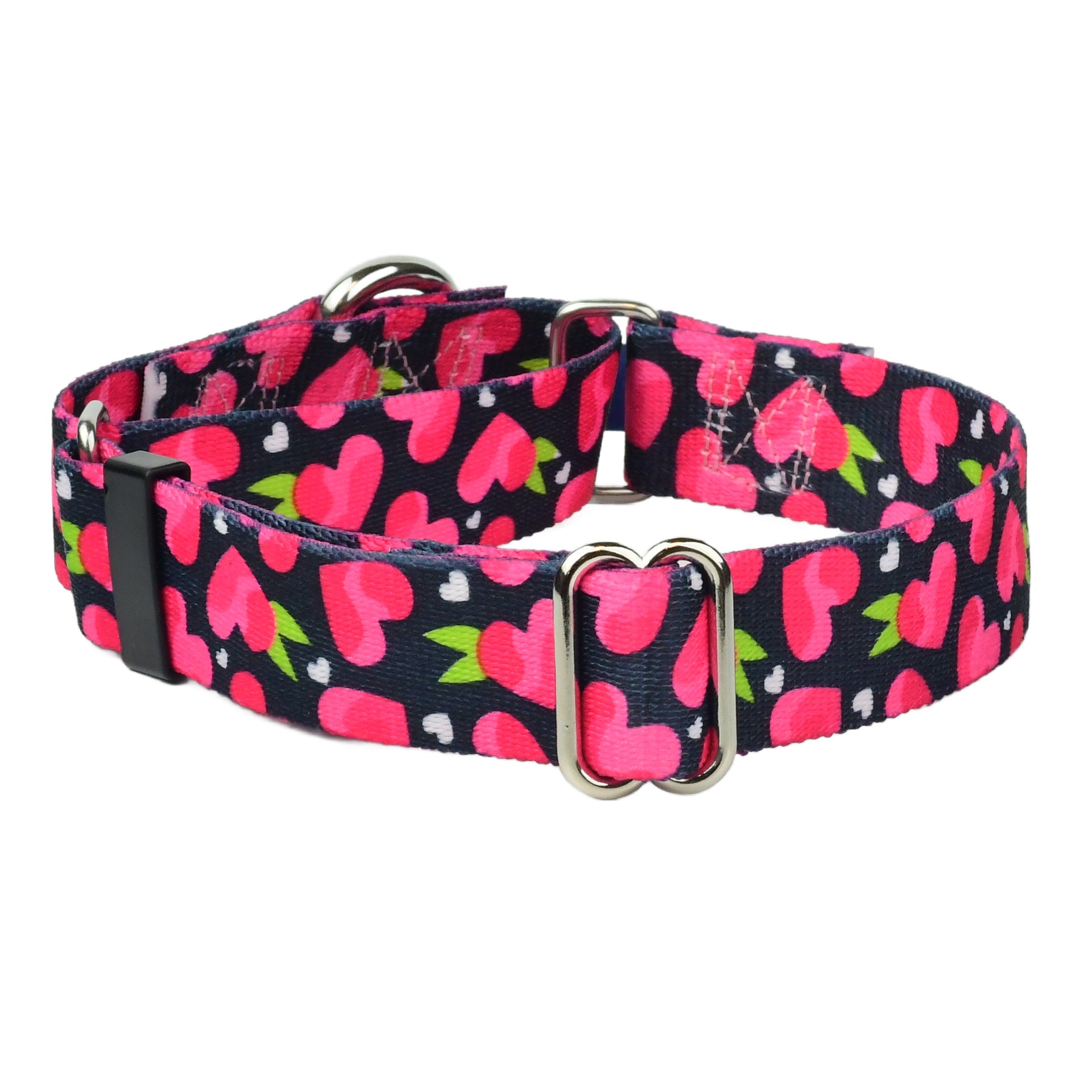 Fruity Hearts Martingale Dog Collar – EarthStyle (1" Only) by 2 Hounds Design