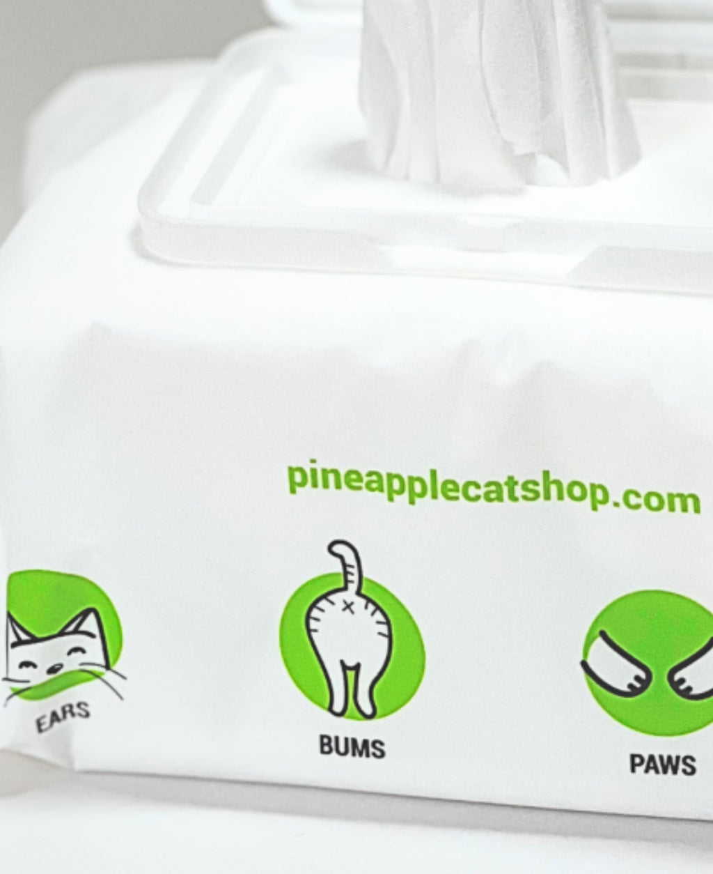 Pineapple Cat Wipes by The Charleston Cat Groomer