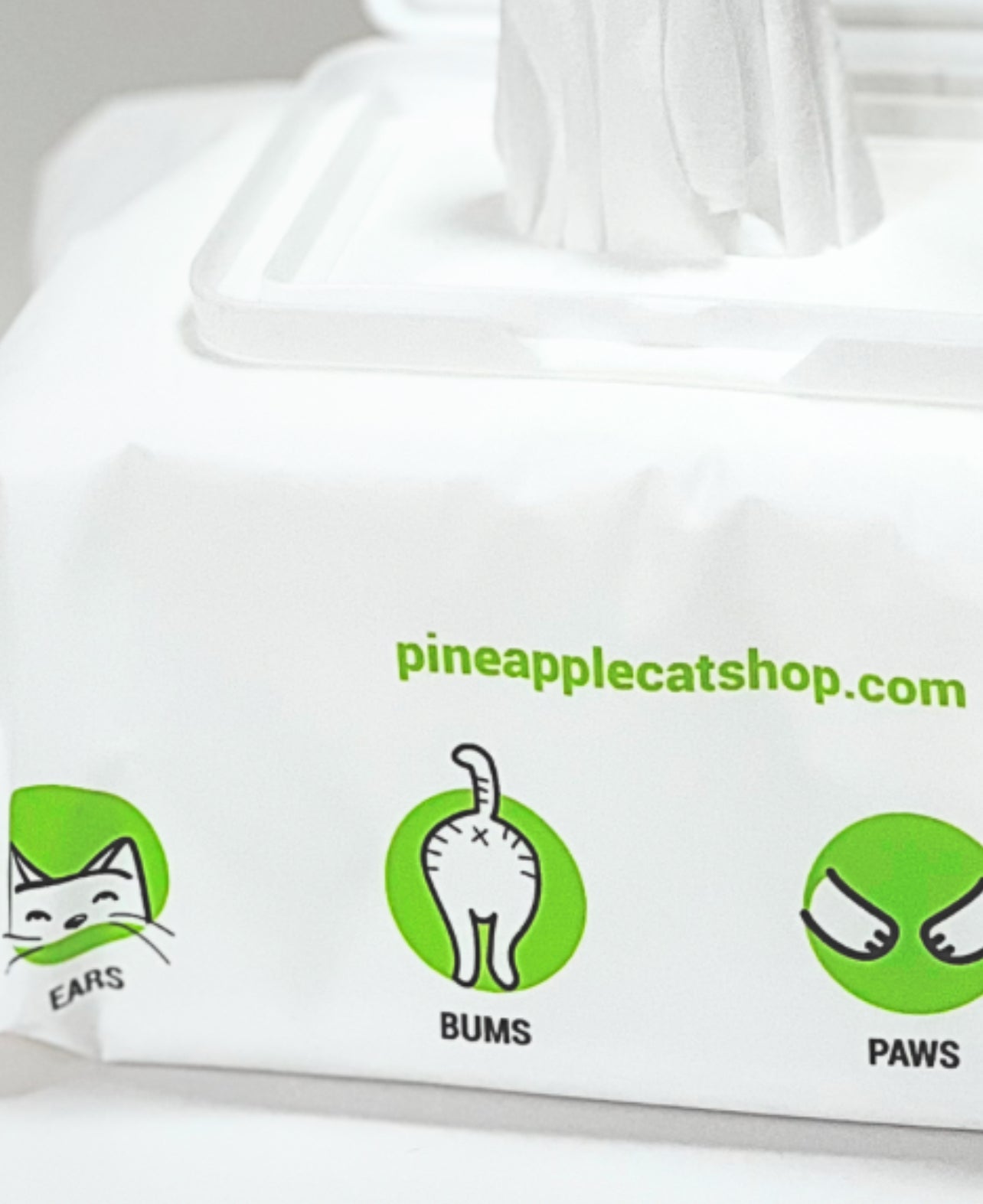 Pineapple Cat Wipes by The Charleston Cat Groomer