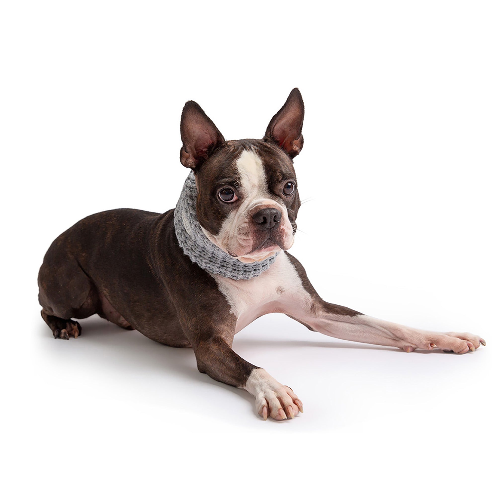 Chalet Tube Scarf - Heather Grey by GF Pet.us