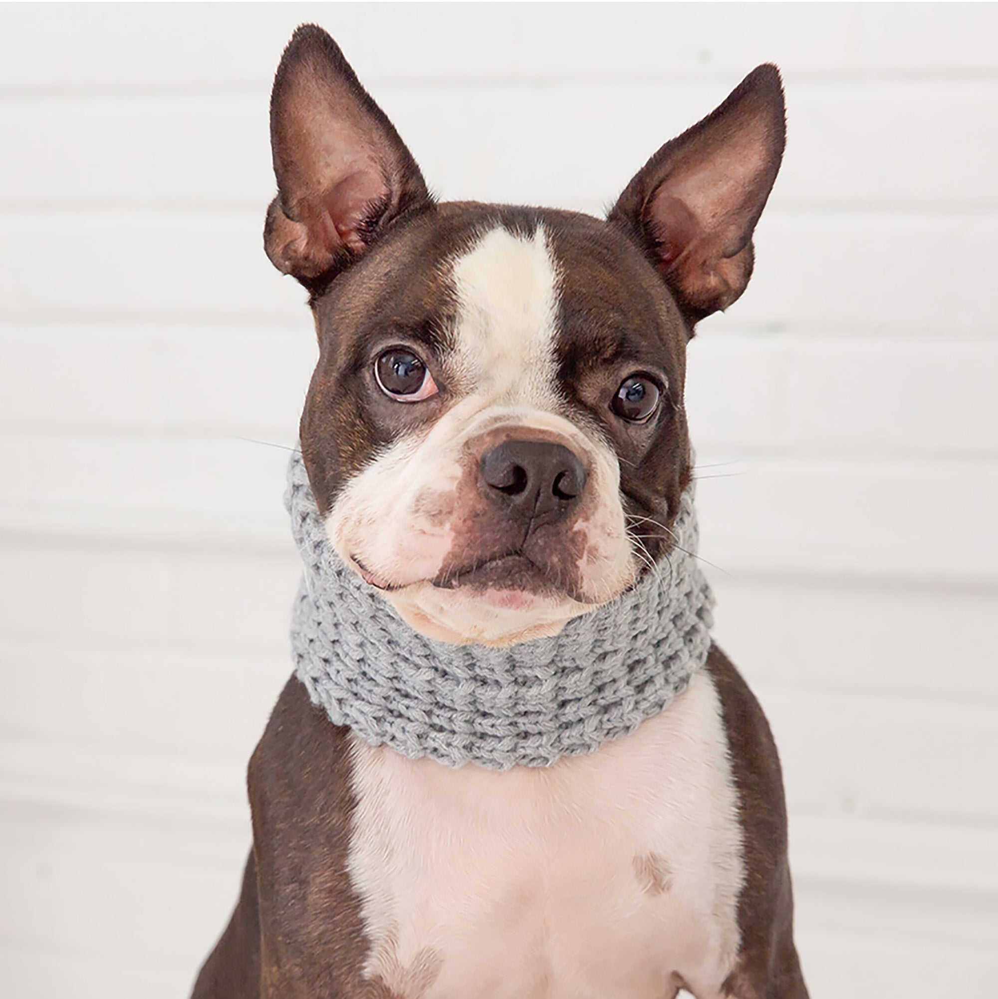 Chalet Tube Scarf - Heather Grey by GF Pet.us