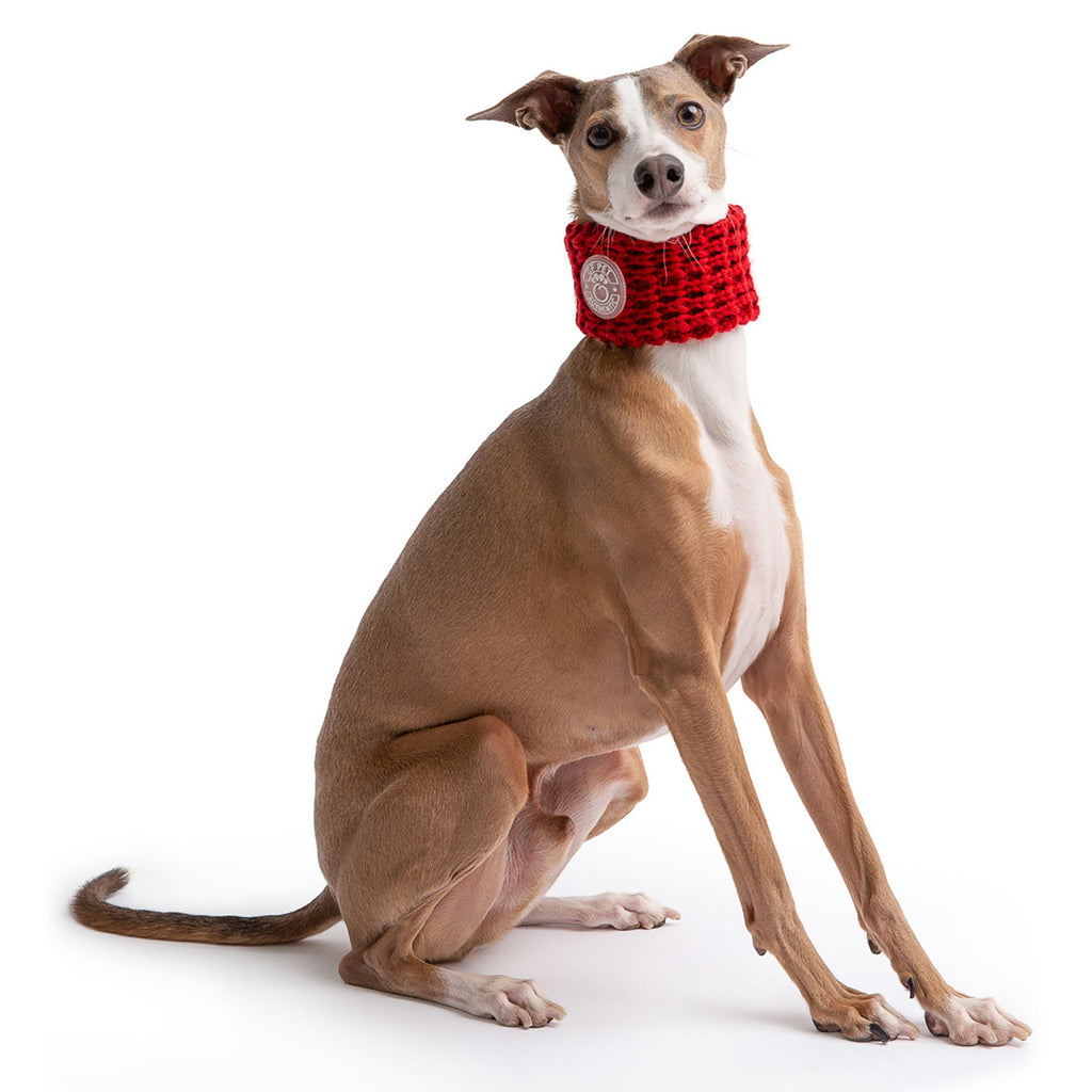 Chalet Tube Scarf - Red by GF Pet.us