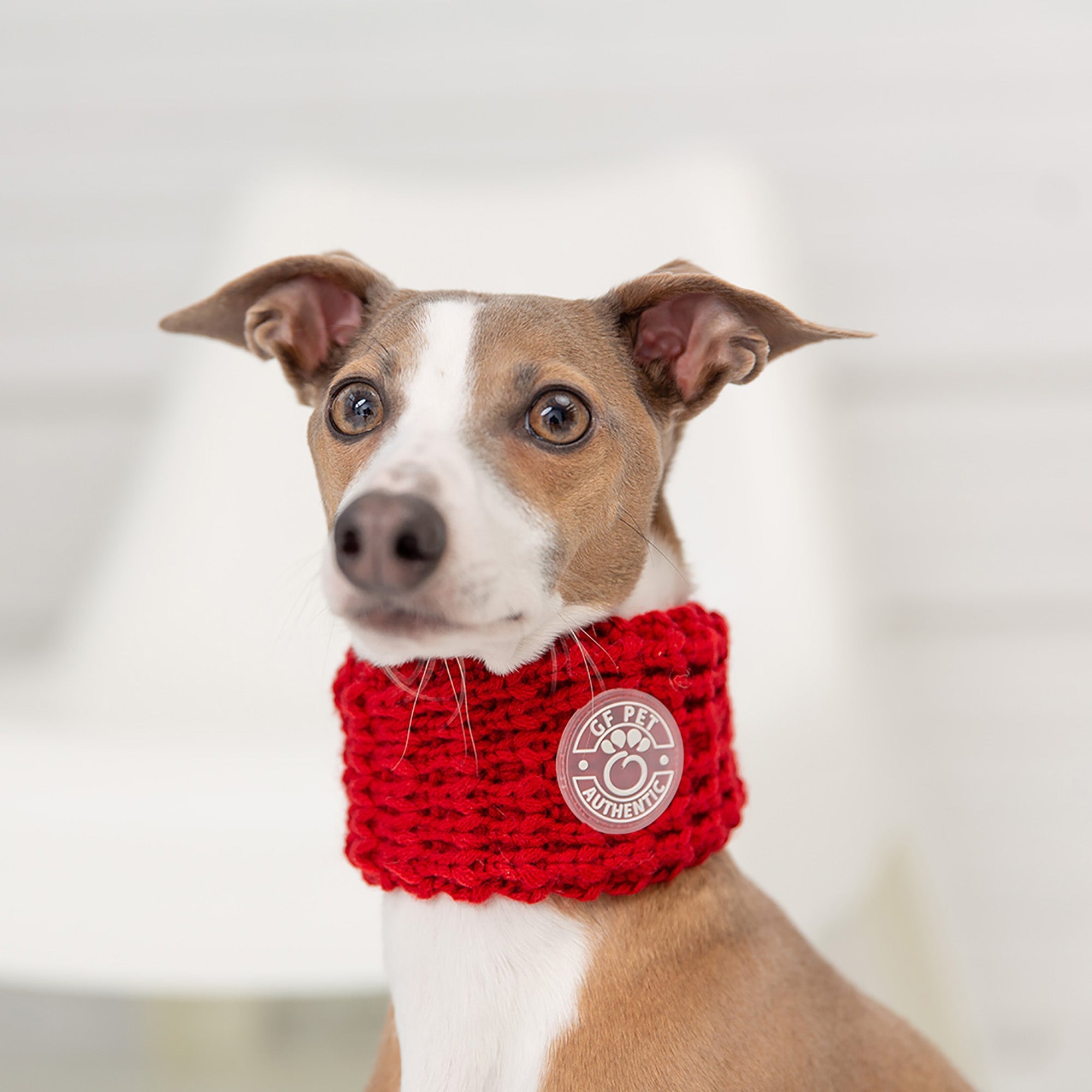 Chalet Tube Scarf - Red by GF Pet.us