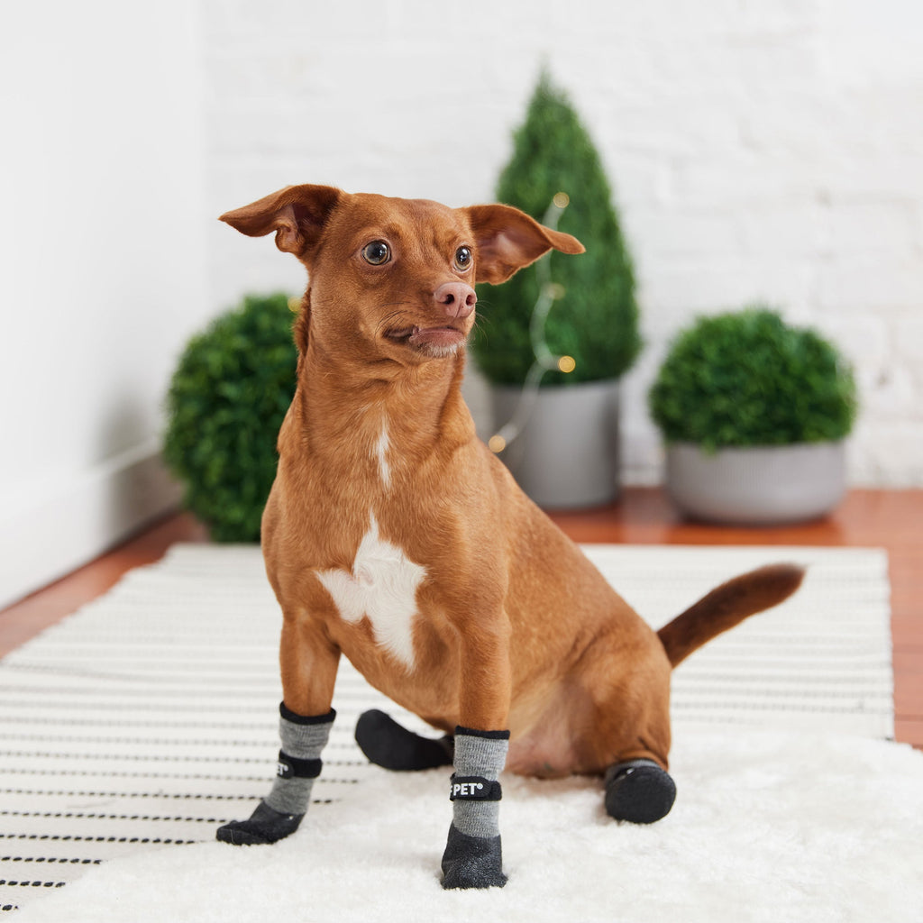 All Terrain Boots - Charcoal by GF Pet.us