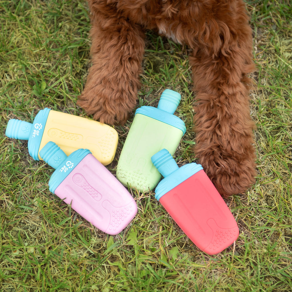 Ice Toy Display 24pcs Mix by GF Pet.us