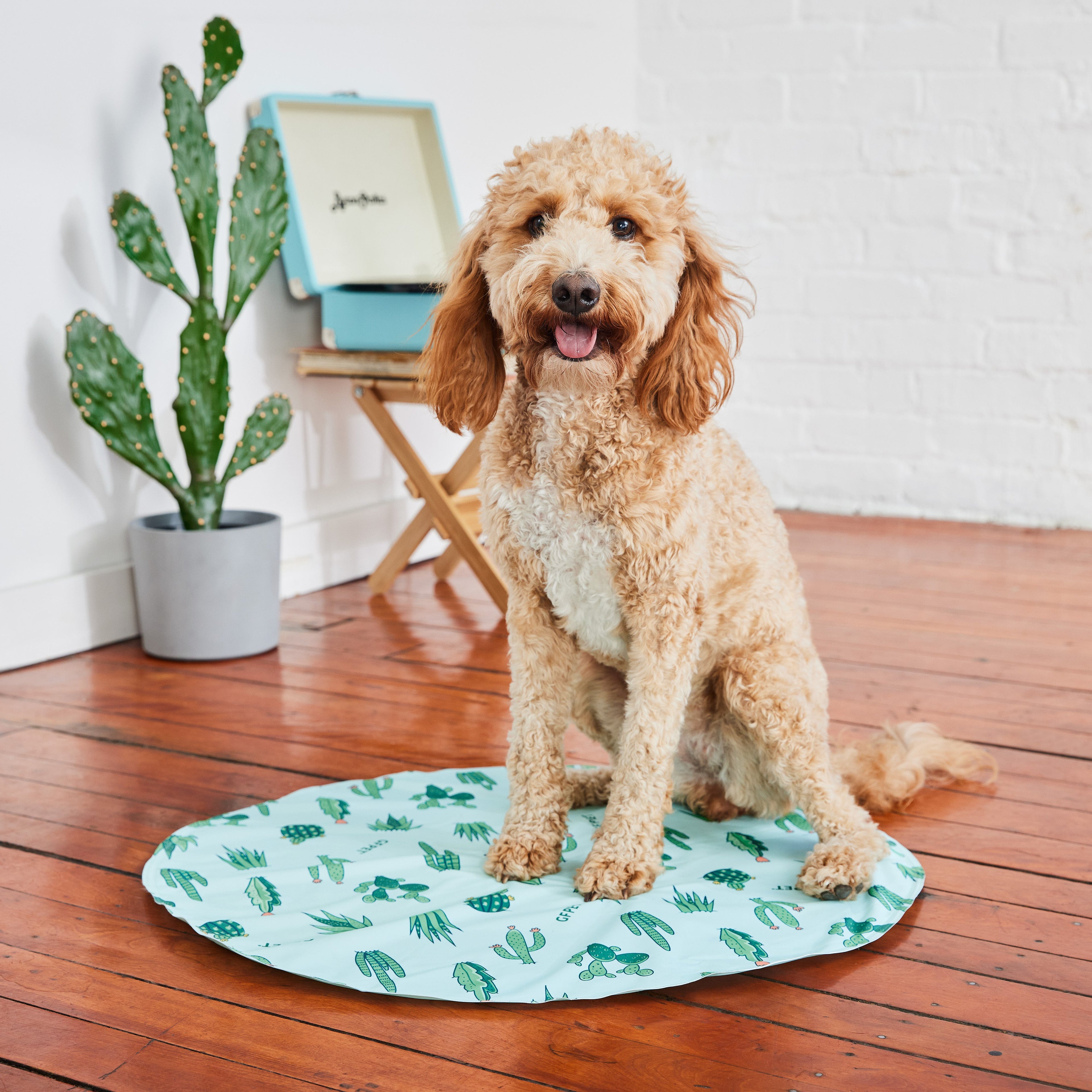 GF Pet Ice Mat by GF Pet.us