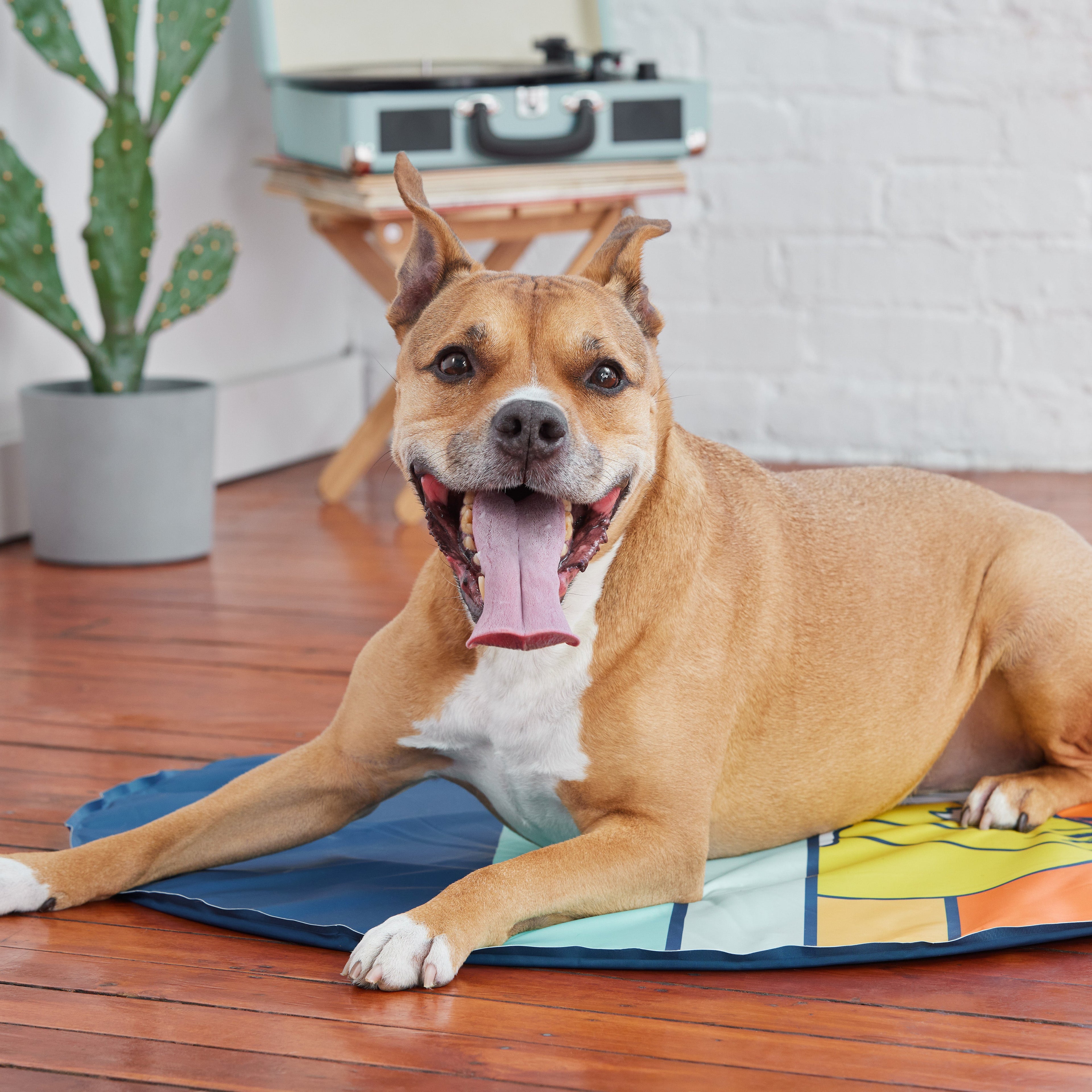 GF Pet Ice Mat by GF Pet.us