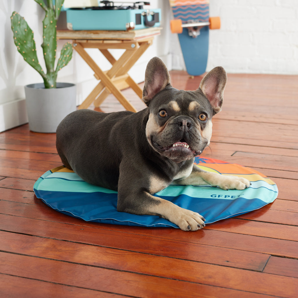 GF Pet Ice Mat by GF Pet.us