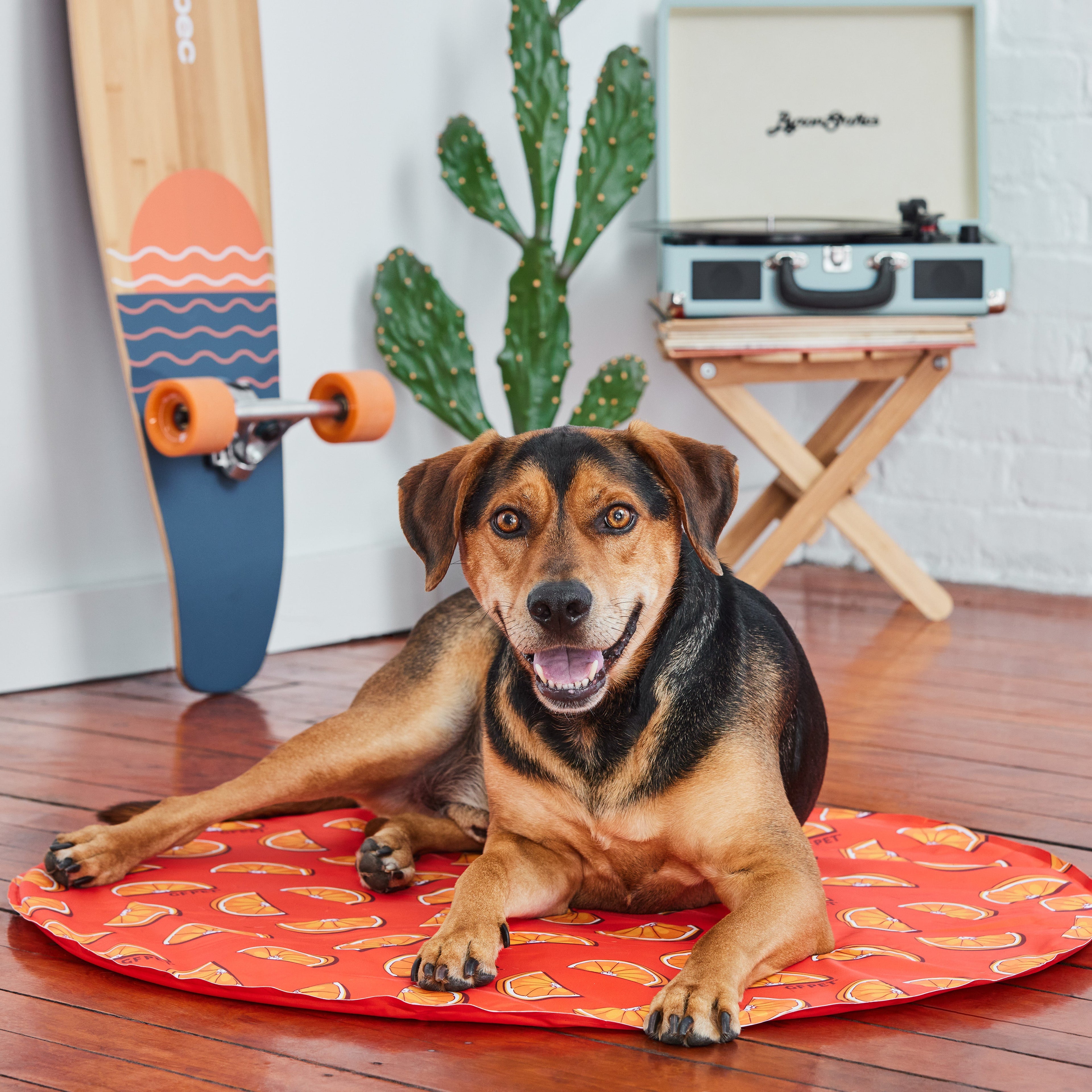 GF Pet Ice Mat by GF Pet.us