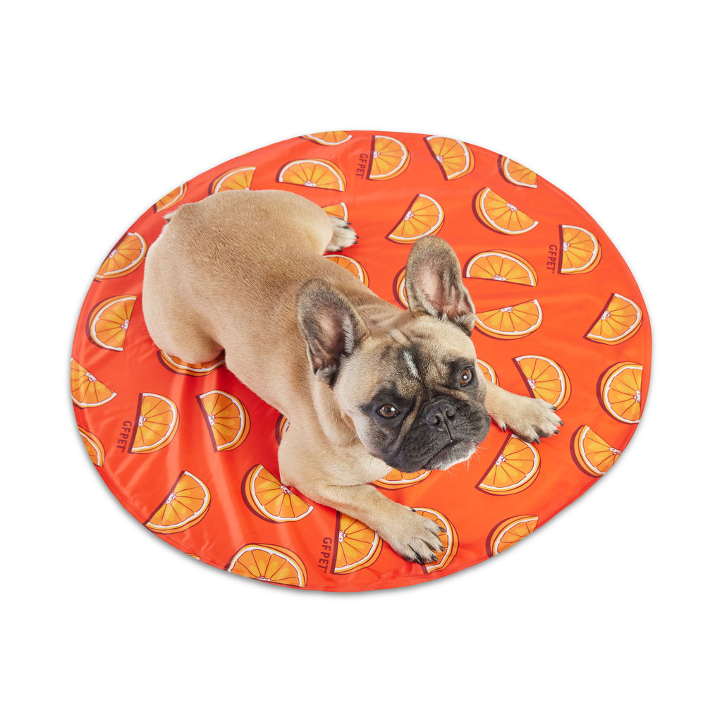 GF Pet Ice Mat by GF Pet.us