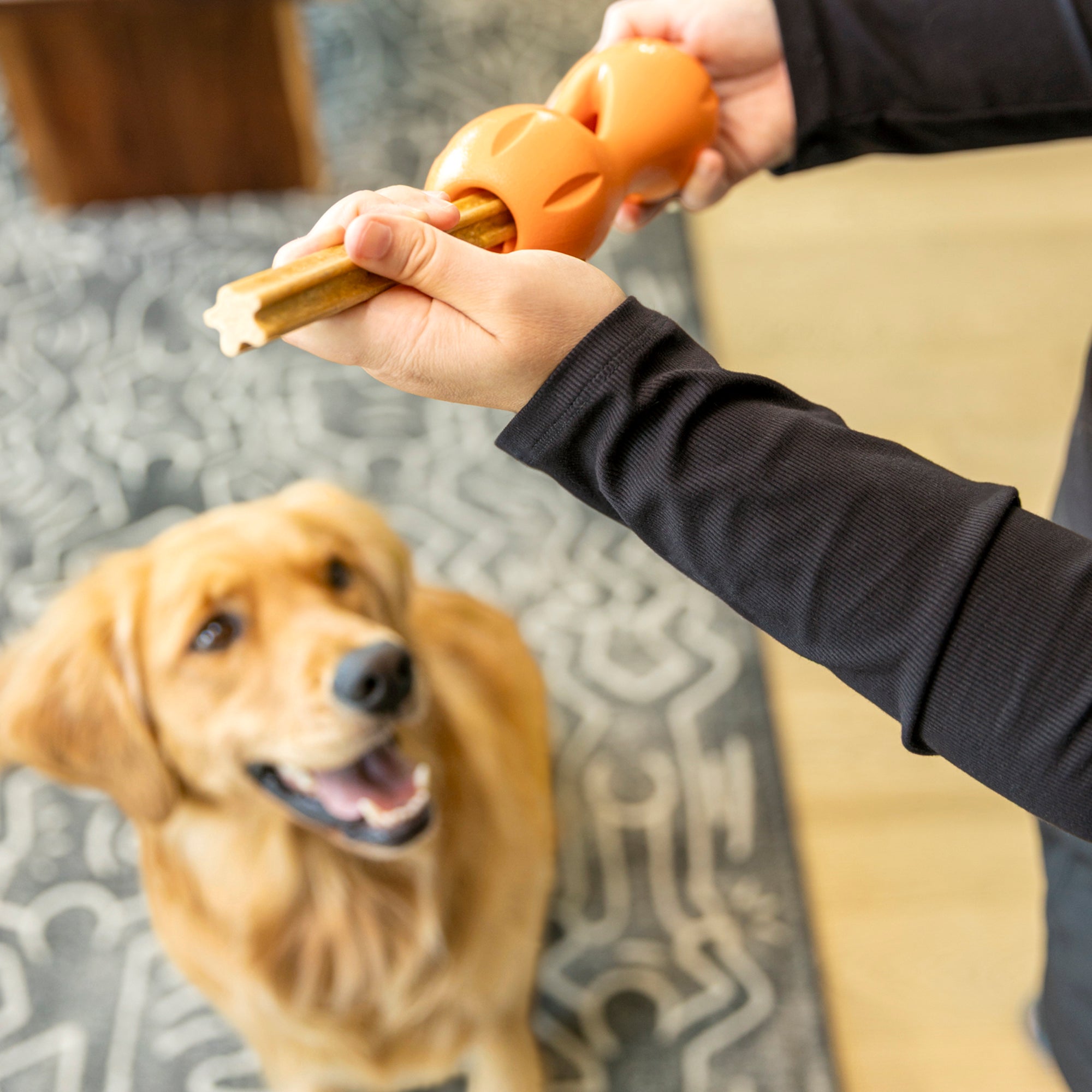 Natural Dental Sticks Small by West Paw