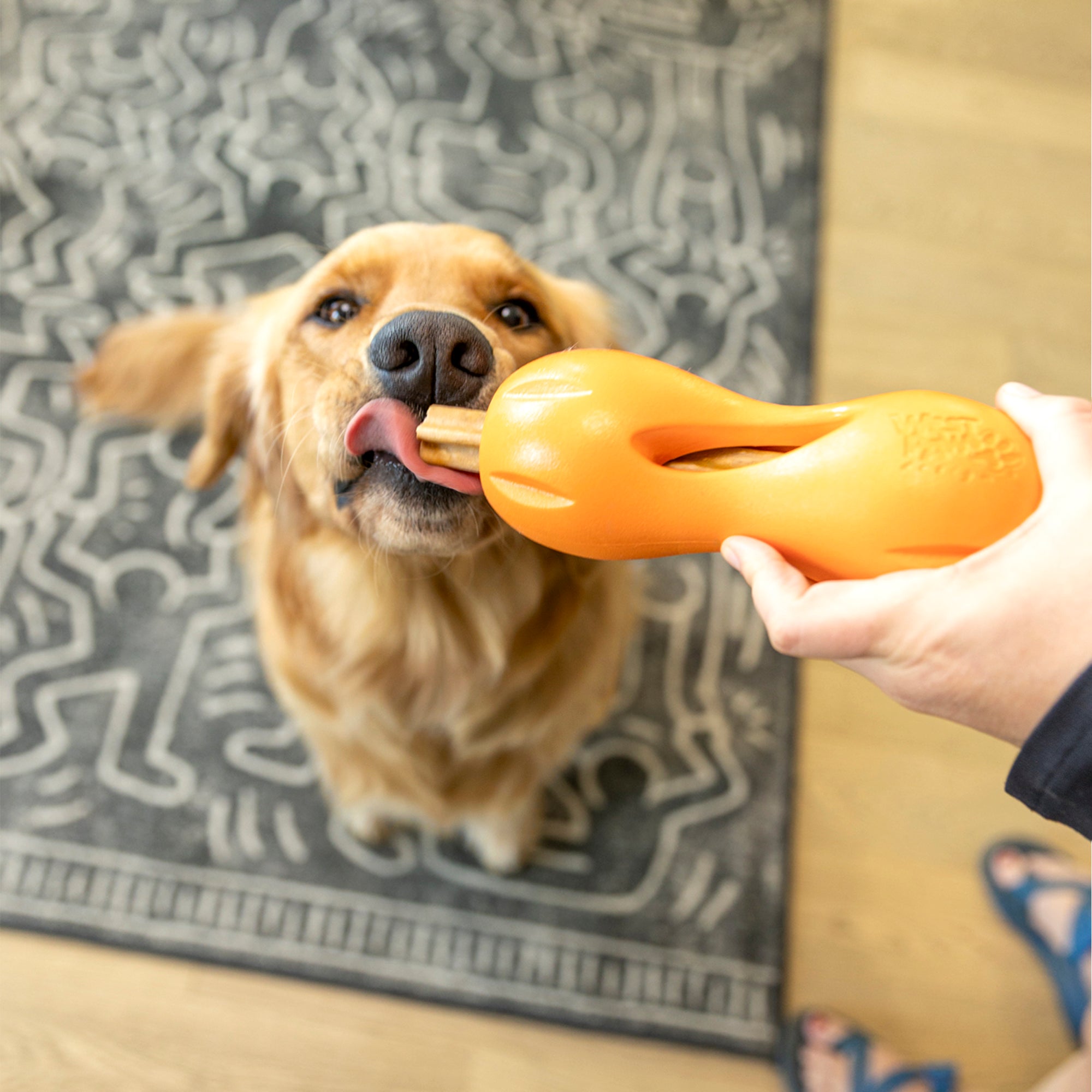 Natural Dental Sticks Small by West Paw