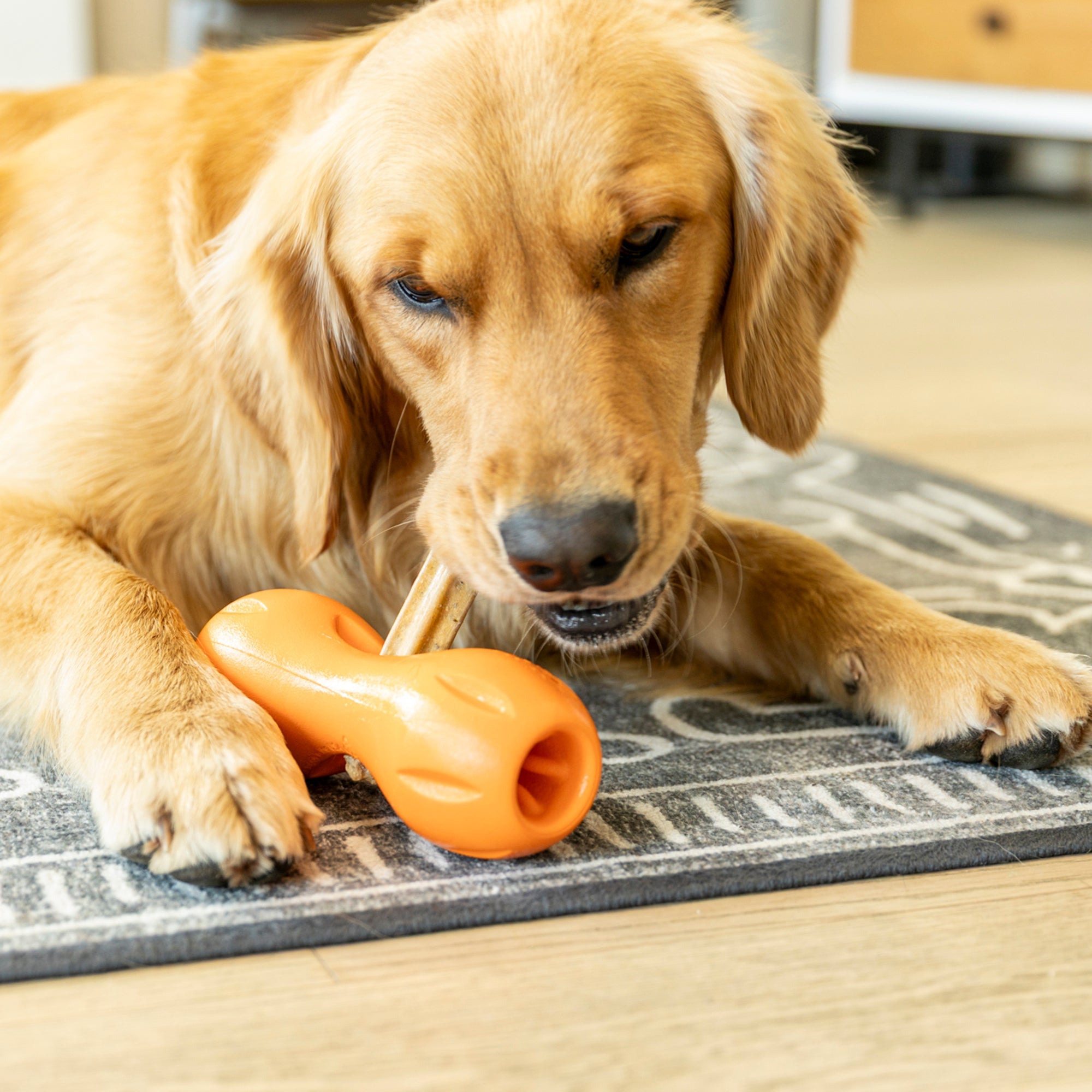 Natural Dental Sticks Large by West Paw