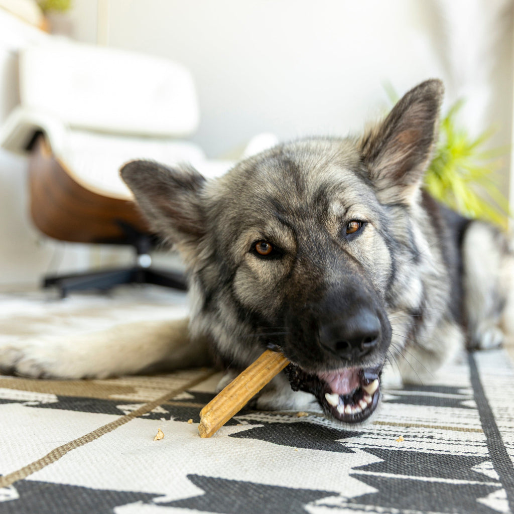 Natural Dental Sticks Large by West Paw
