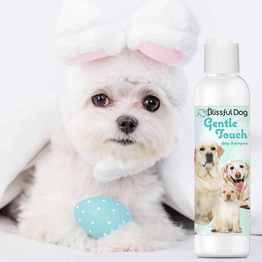 Gentle Touch Dog Shampoo & Soap by The Blissful Dog
