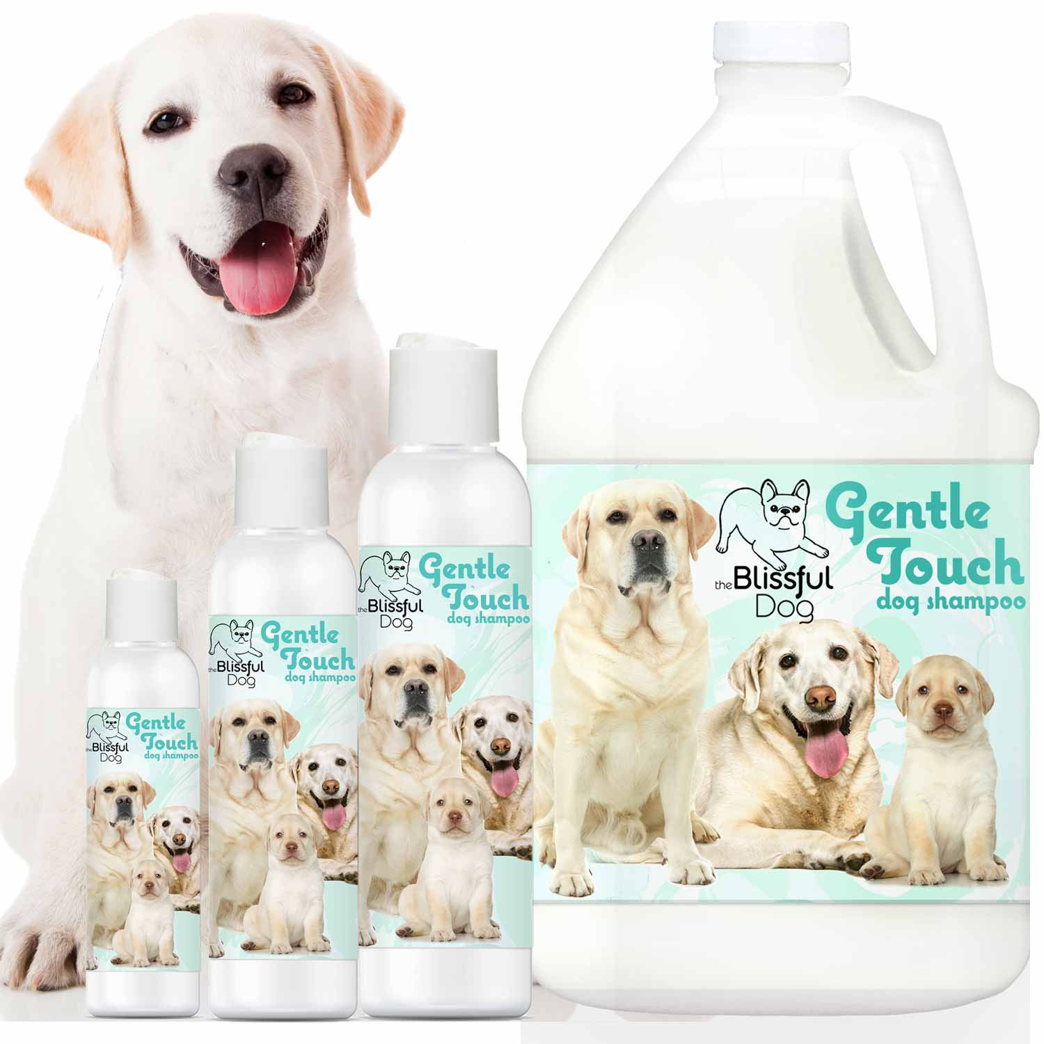 Gentle Touch Dog Shampoo & Soap by The Blissful Dog