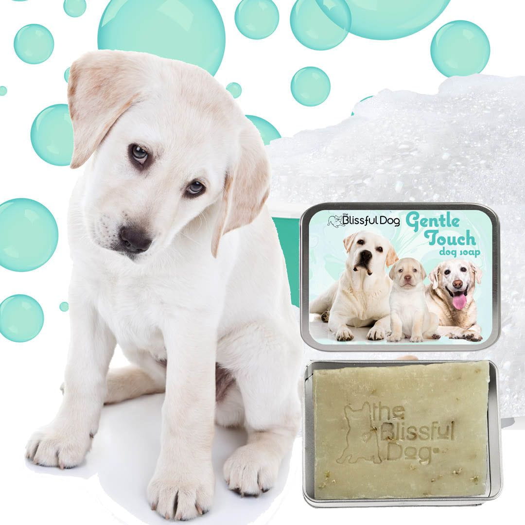 Gentle Touch Dog Shampoo & Soap by The Blissful Dog