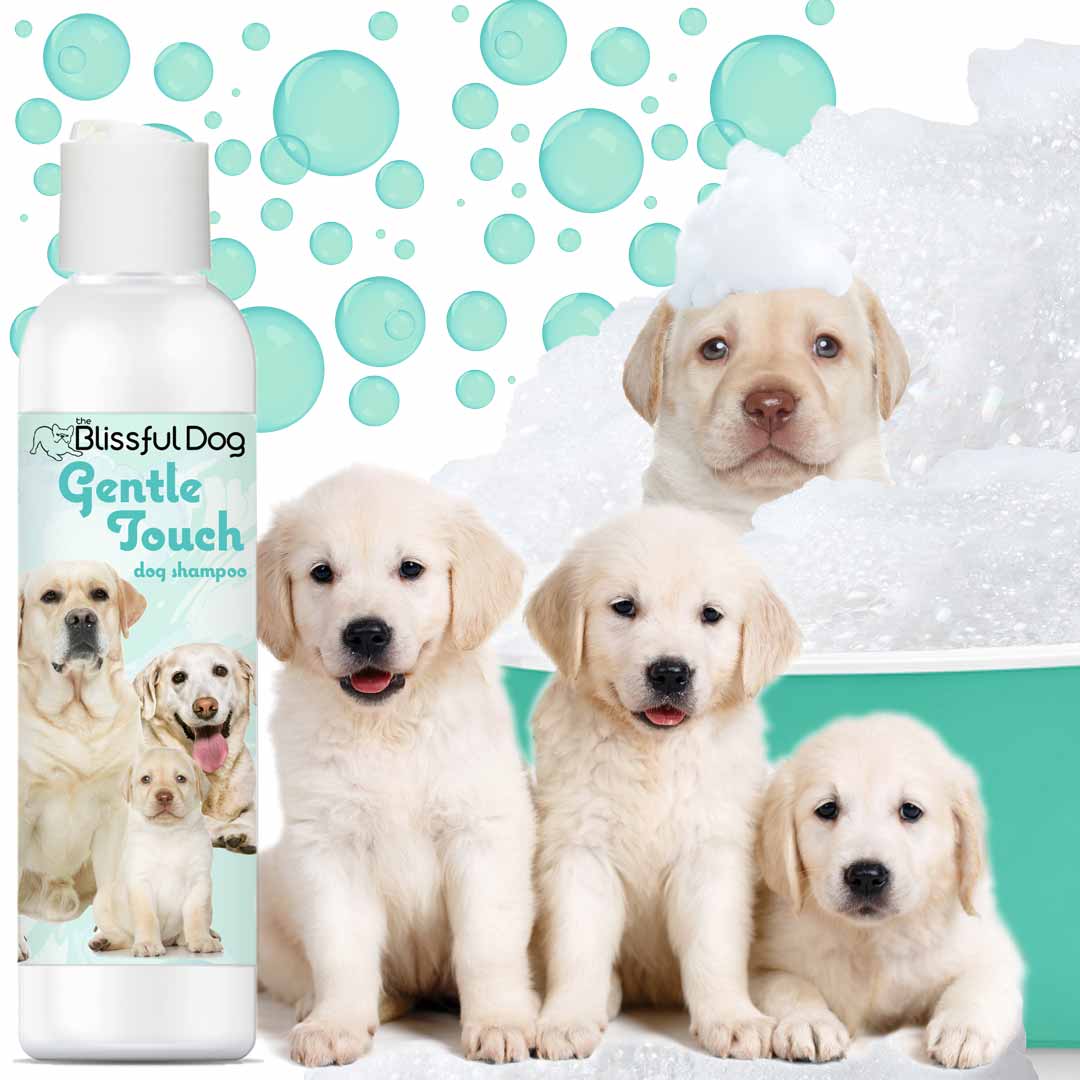 Gentle Touch Dog Shampoo & Soap by The Blissful Dog