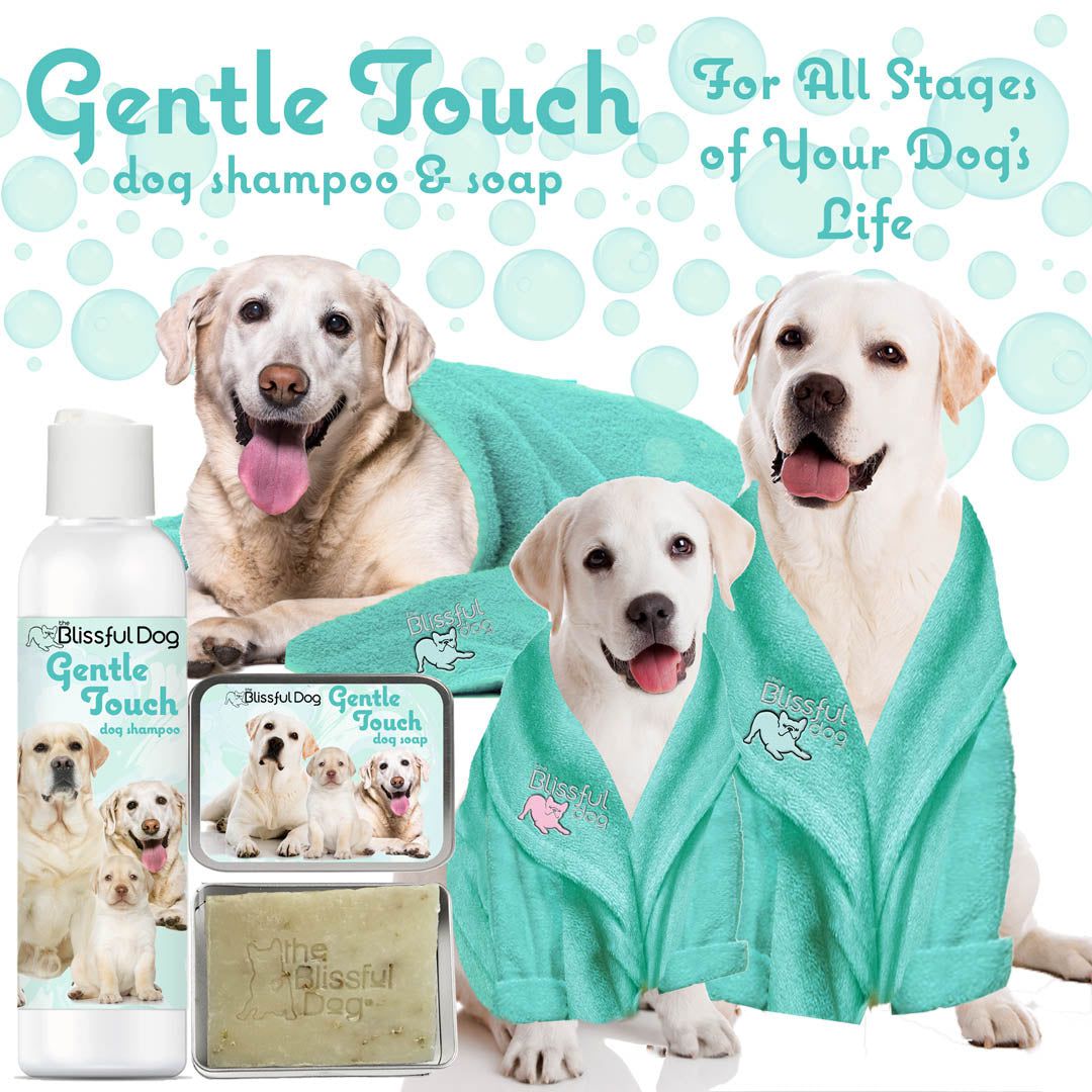 Gentle Touch Dog Shampoo & Soap by The Blissful Dog