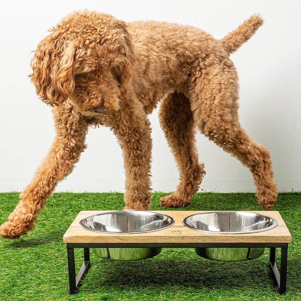 Wood & Metal Elevated Feeder by GF Pet.us